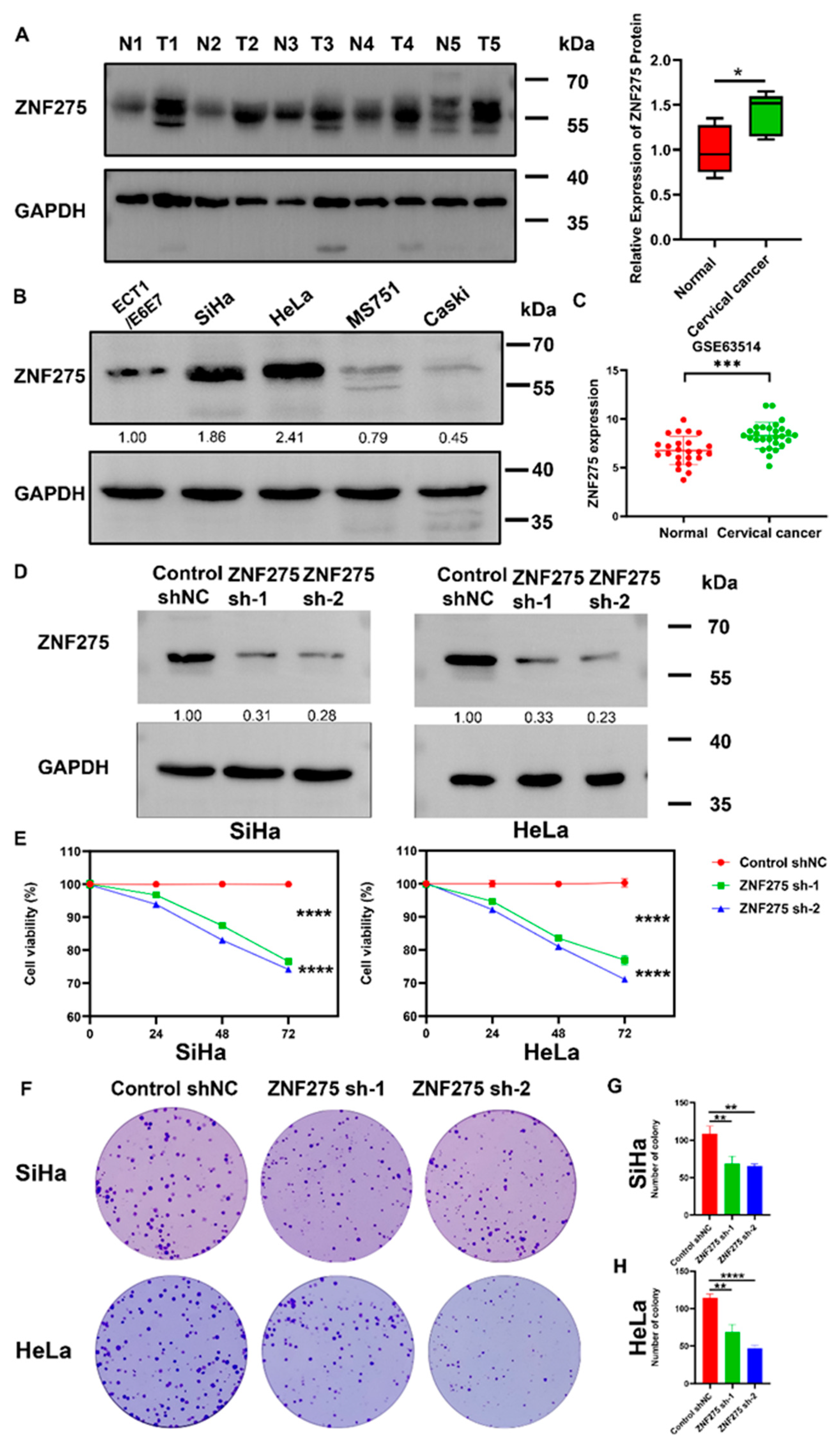 Cancers 15 05625 g001