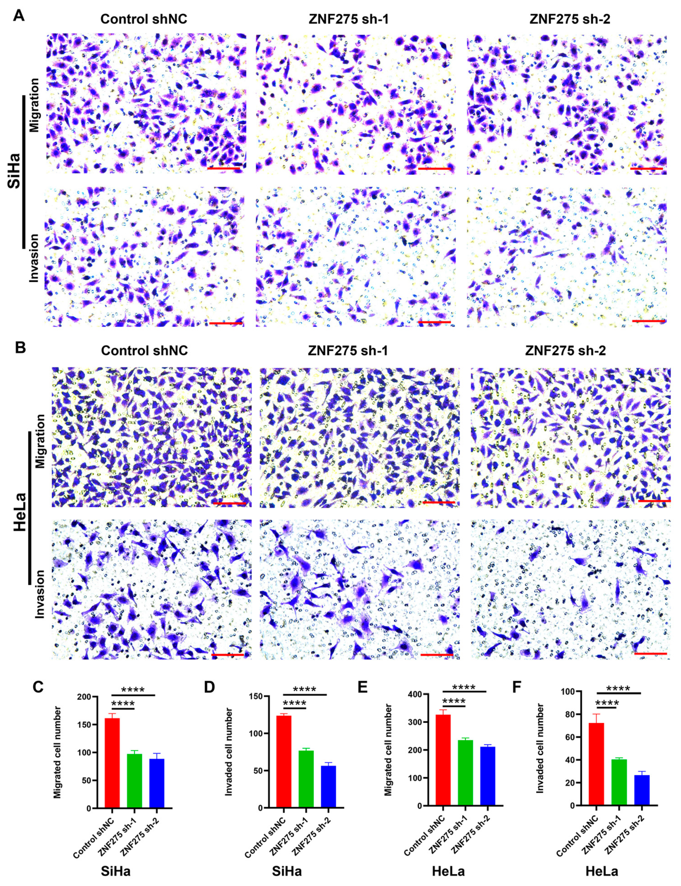 Cancers 15 05625 g002
