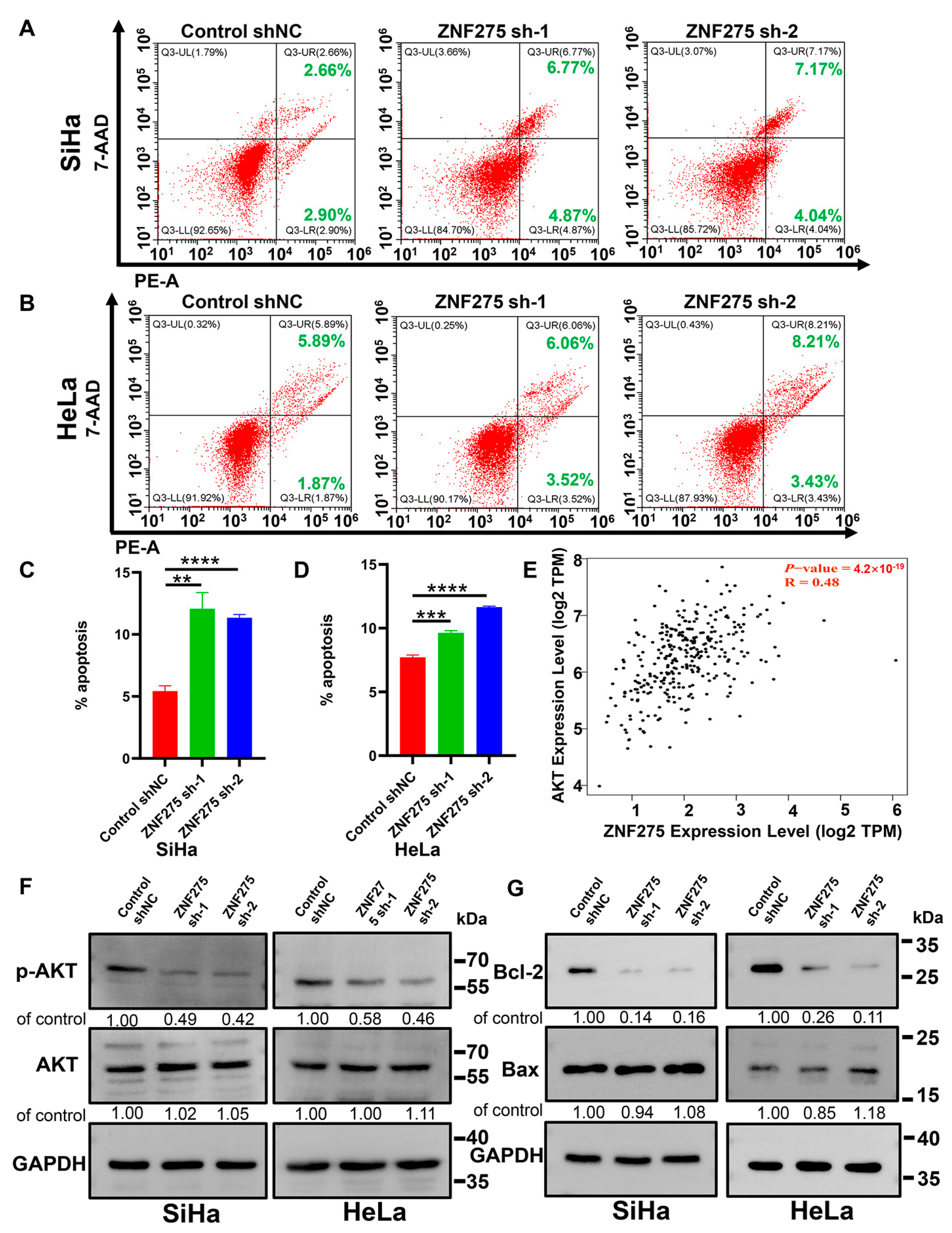Cancers 15 05625 g003