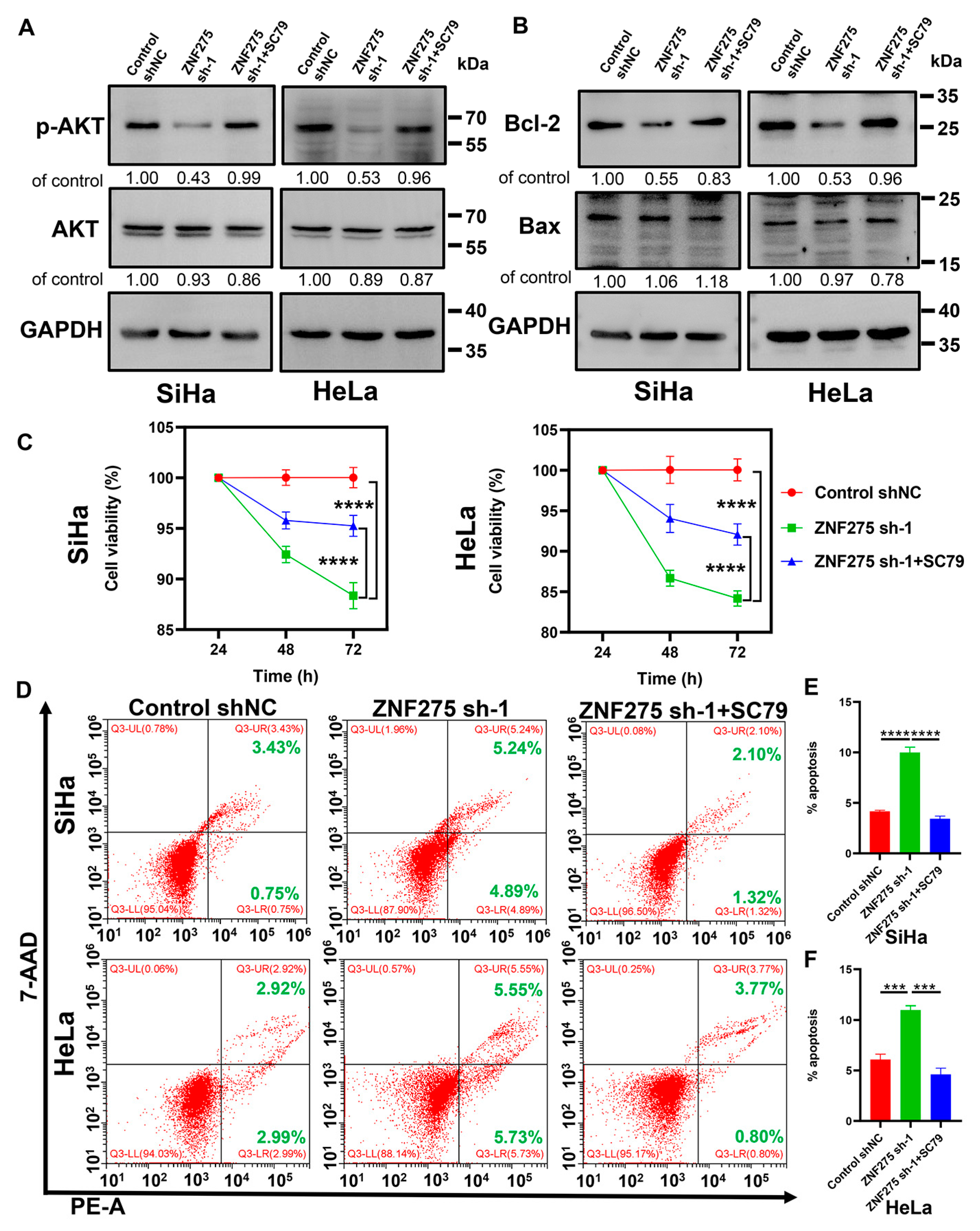 Cancers 15 05625 g004