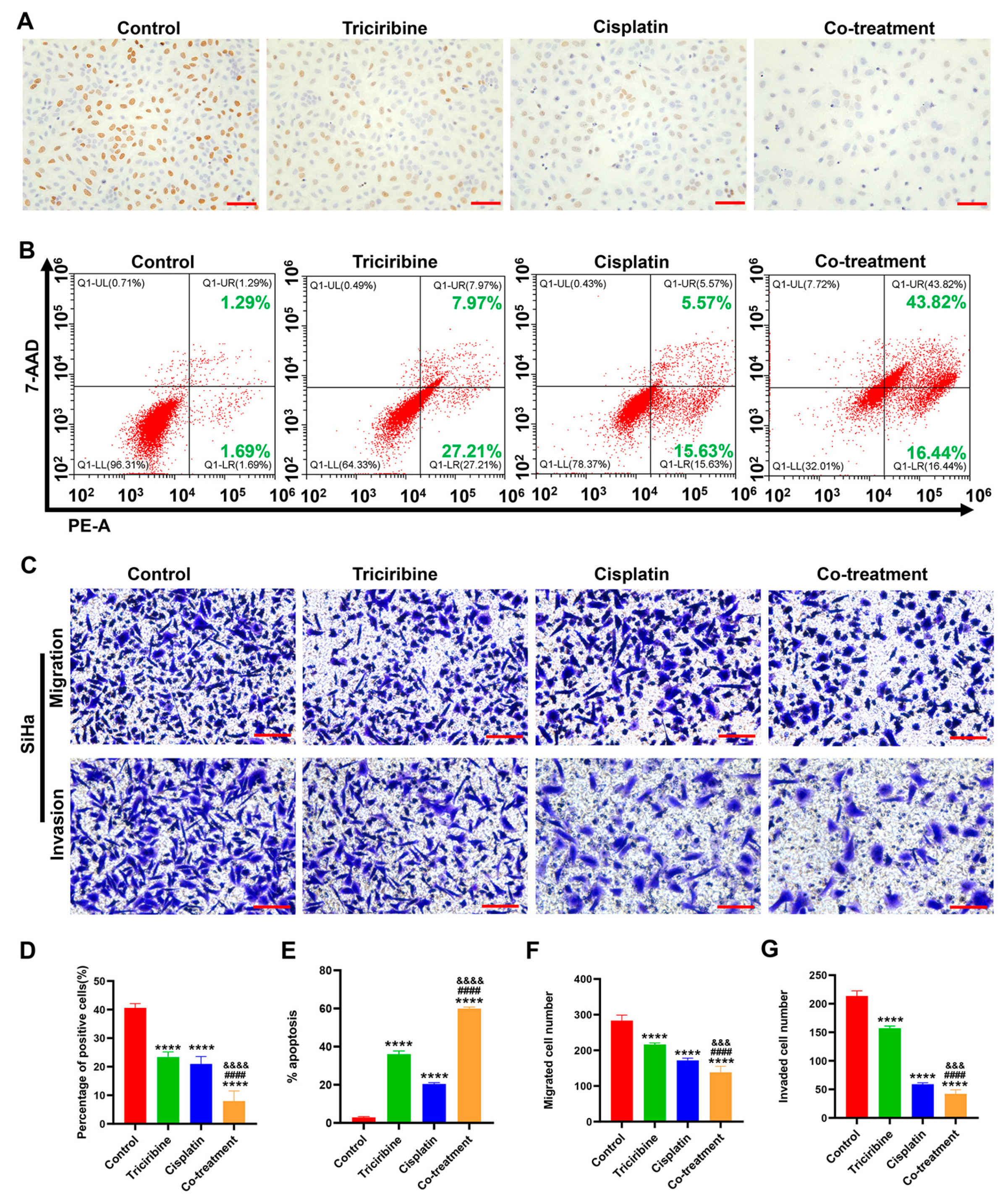 Cancers 15 05625 g006