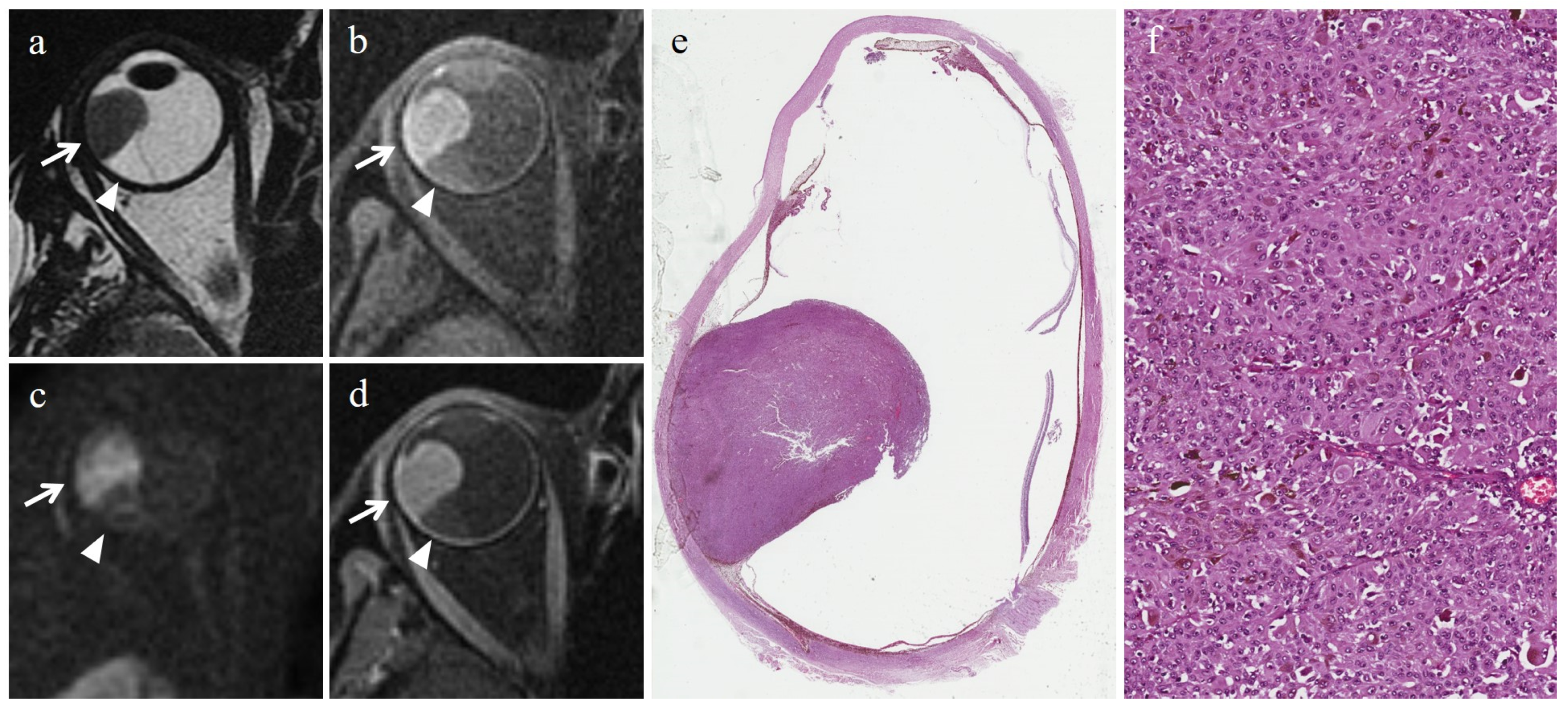 Cancers 15 05627 g002