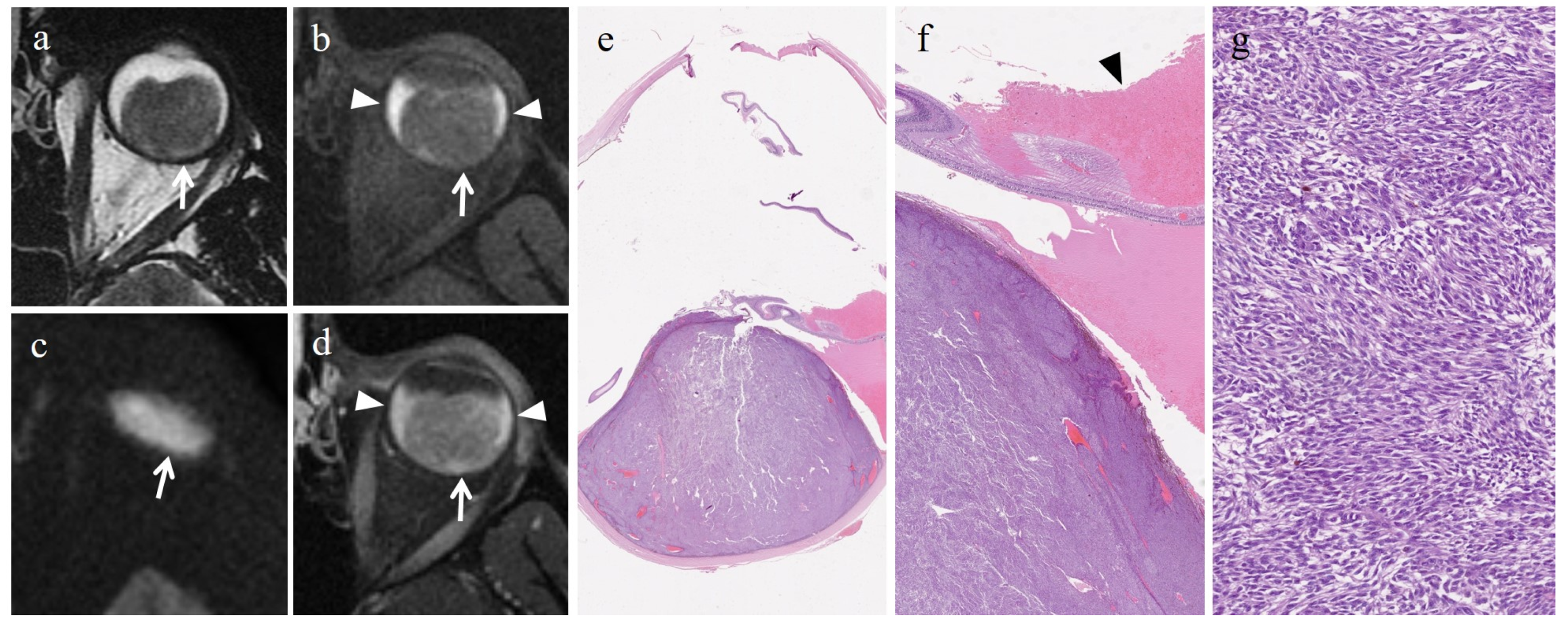 Cancers 15 05627 g003