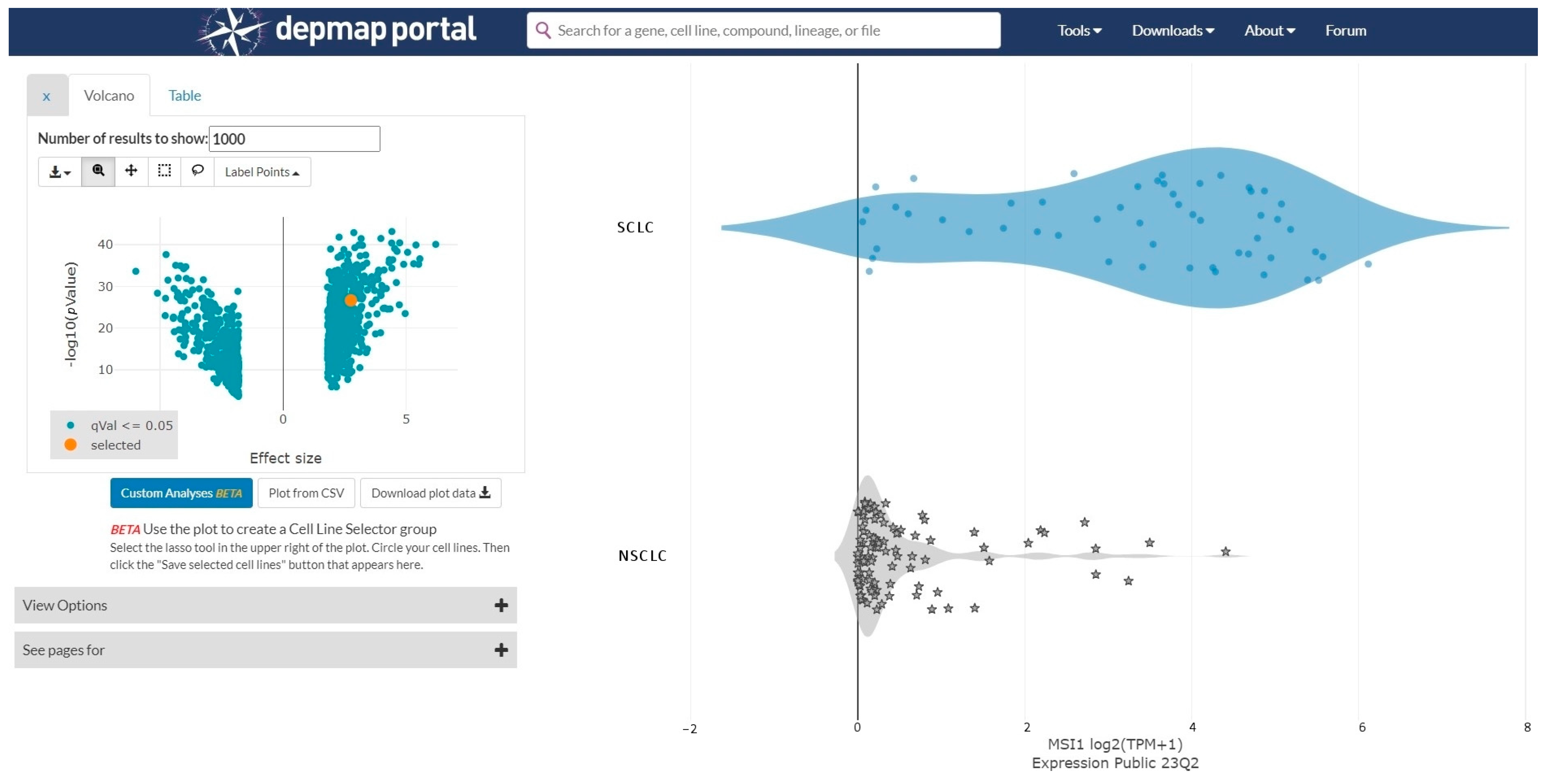 Cancers 15 05631 g001