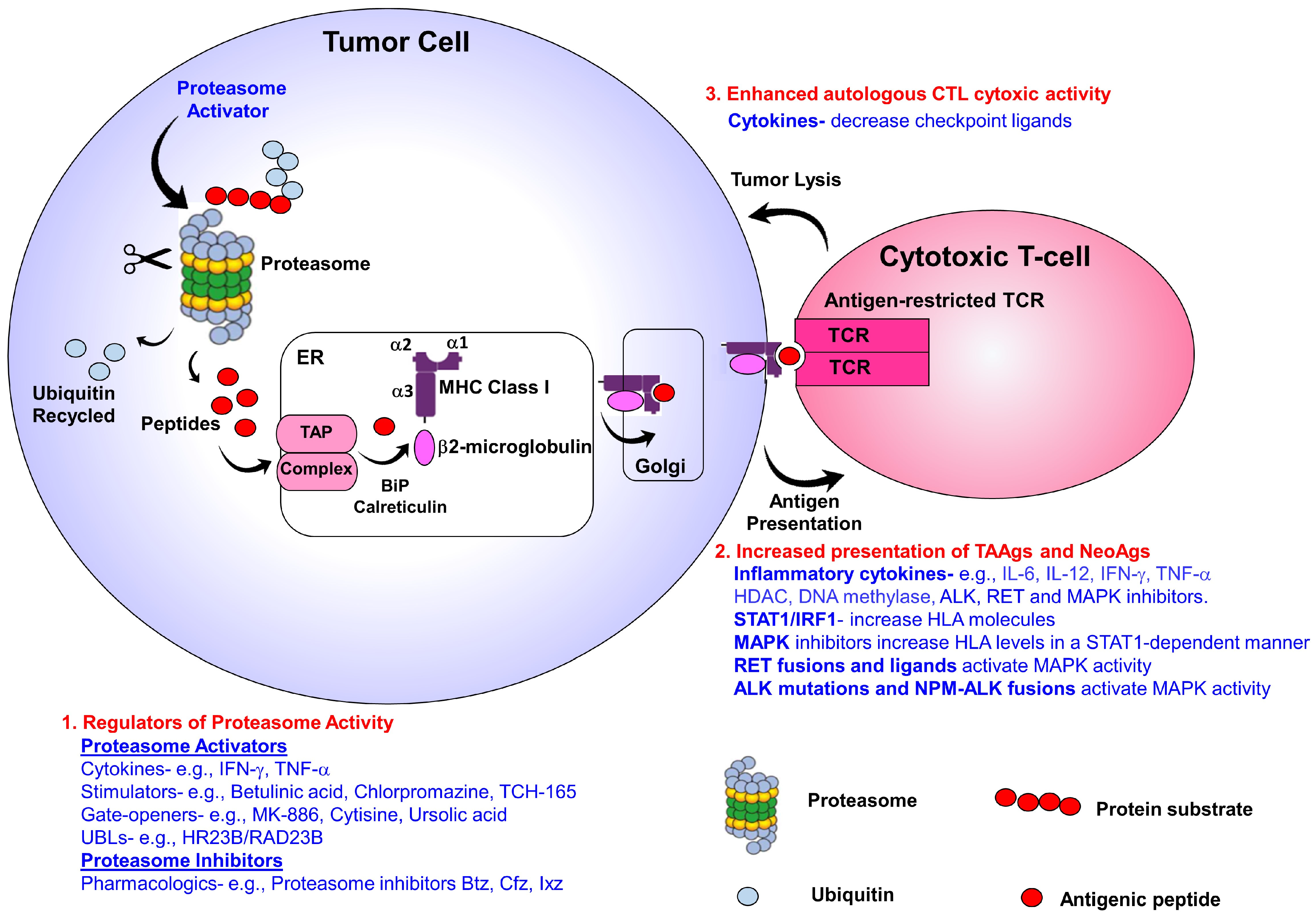Cancers 15 05632 g001