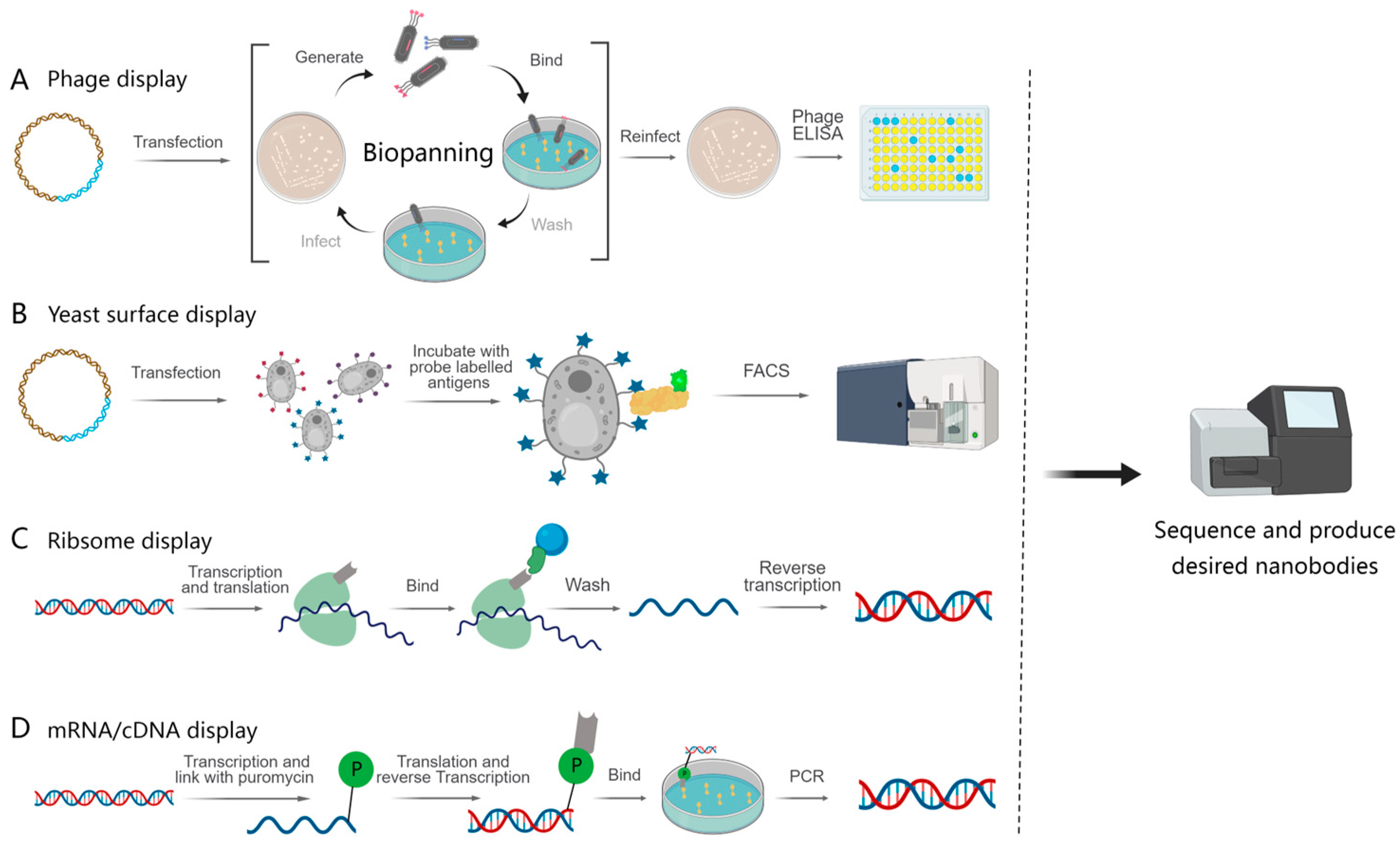 Cancers 15 05639 g003