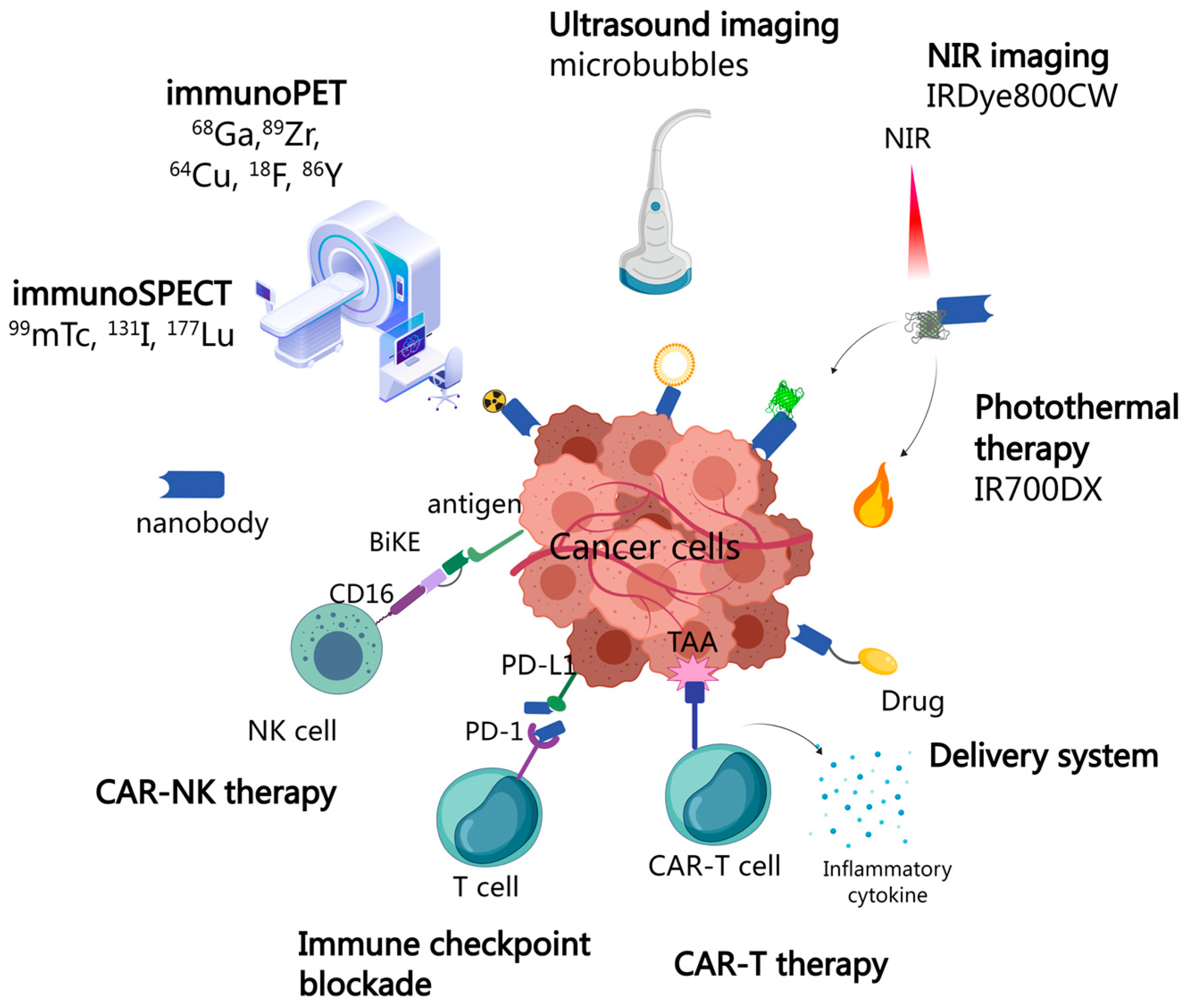 Cancers 15 05639 g004