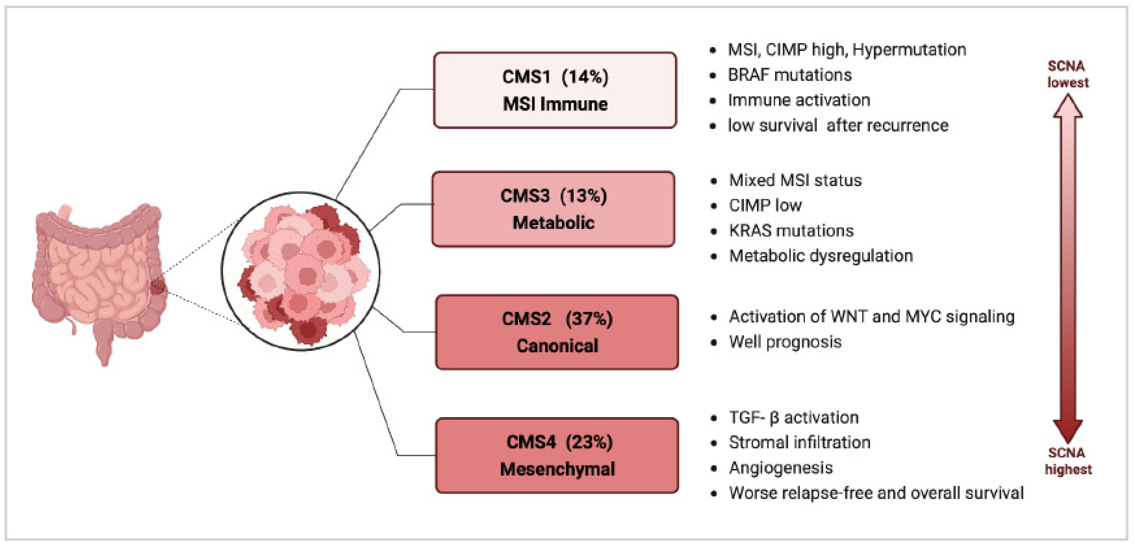 Cancers 15 05641 g002