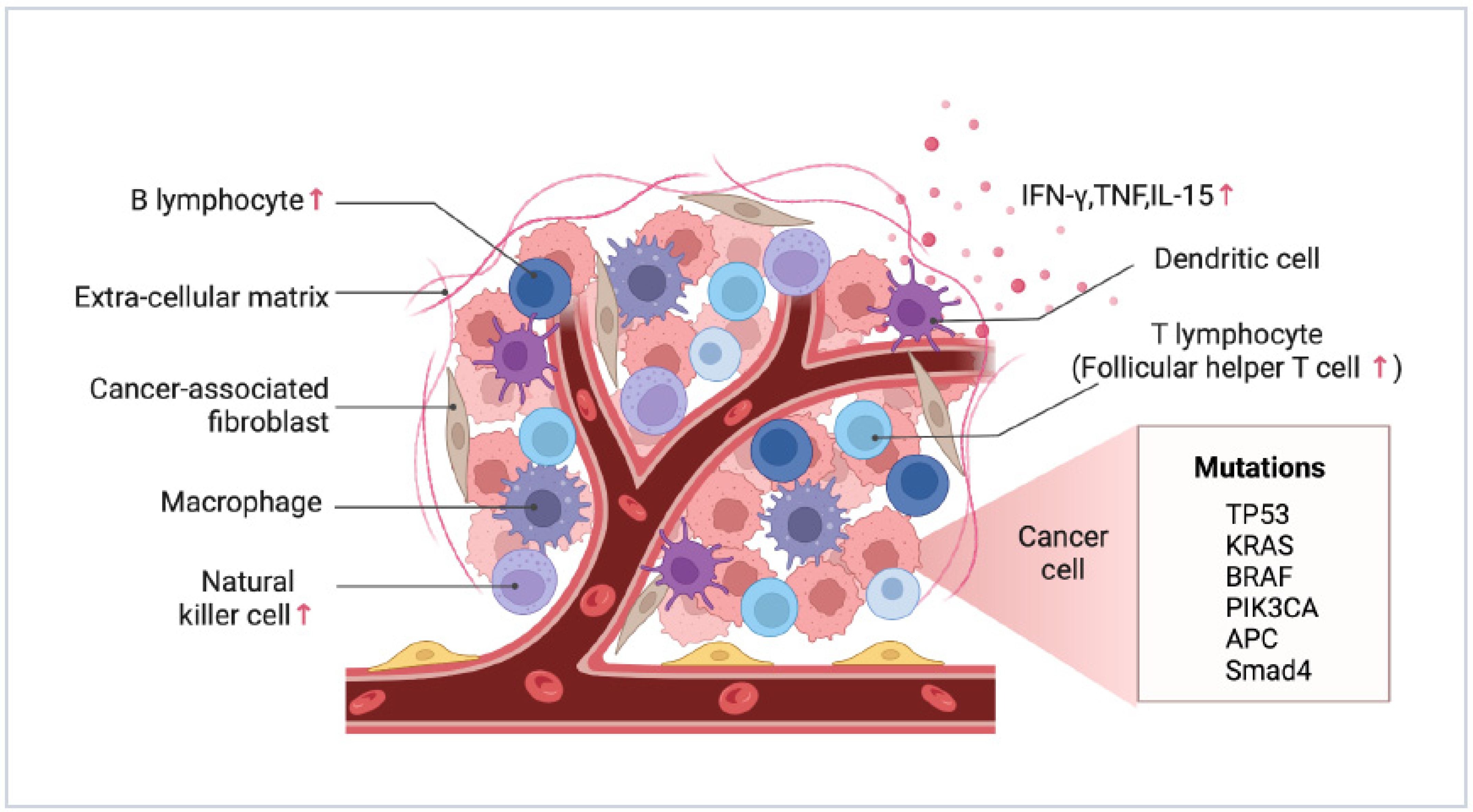 Cancers 15 05641 g003