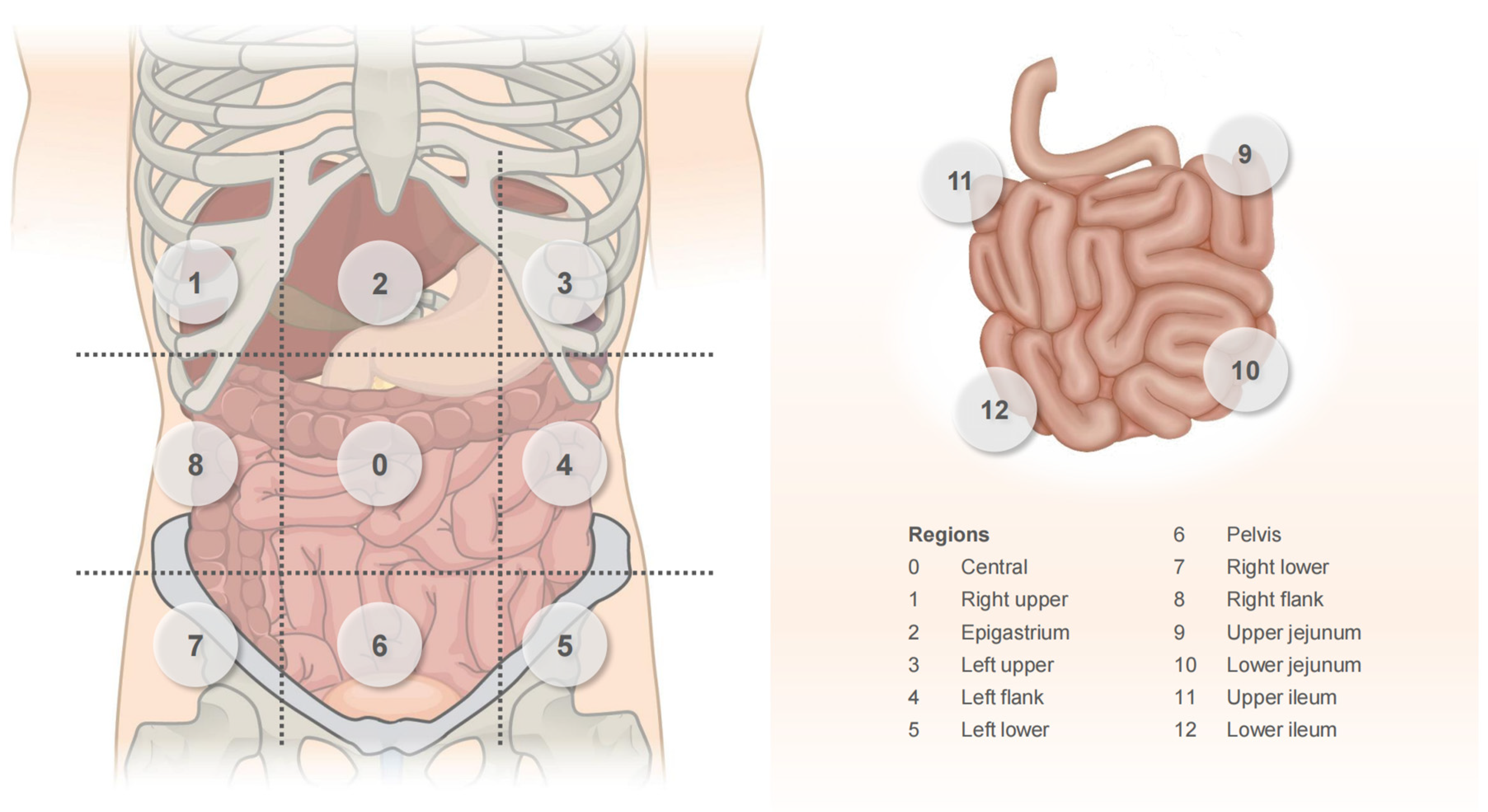 Cancers 15 05641 g004