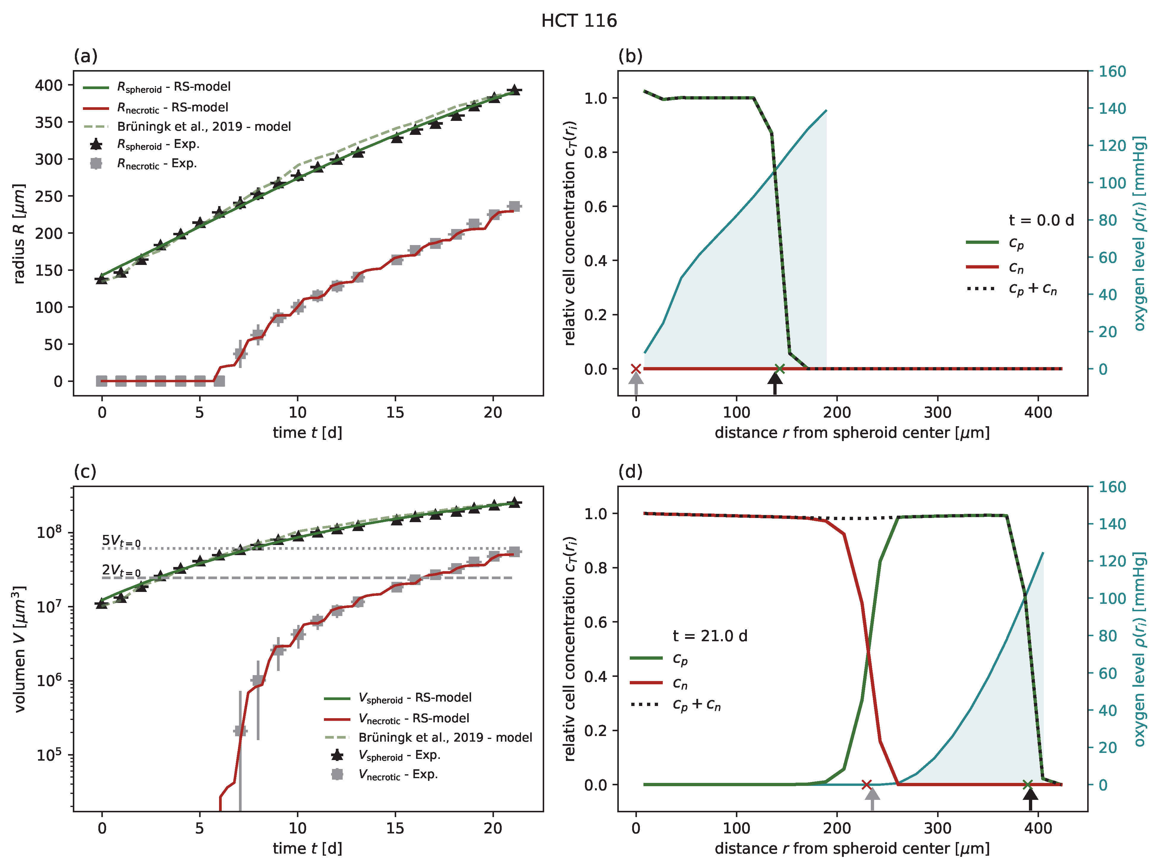 Cancers 15 05645 g002
