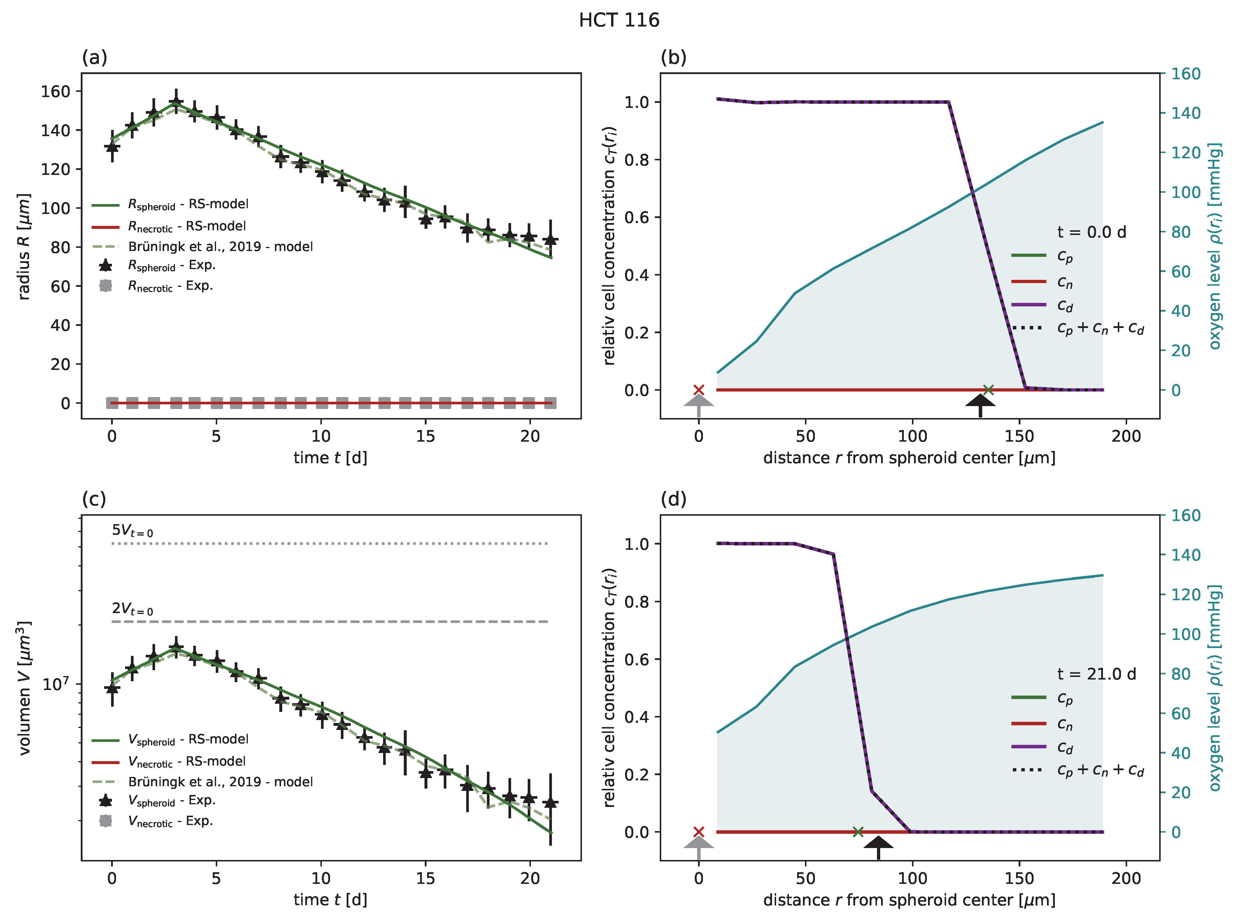 Cancers 15 05645 g003