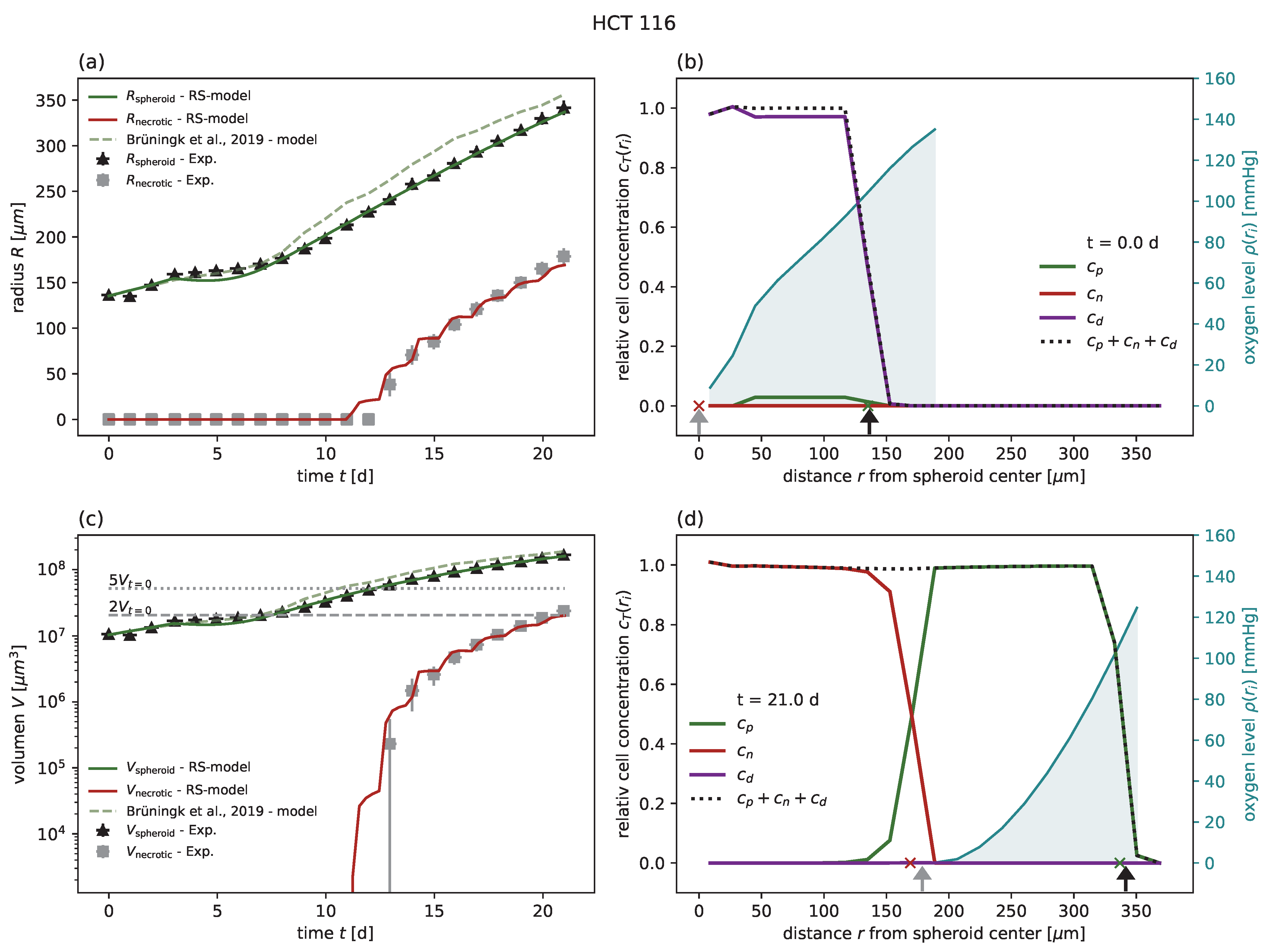 Cancers 15 05645 g004
