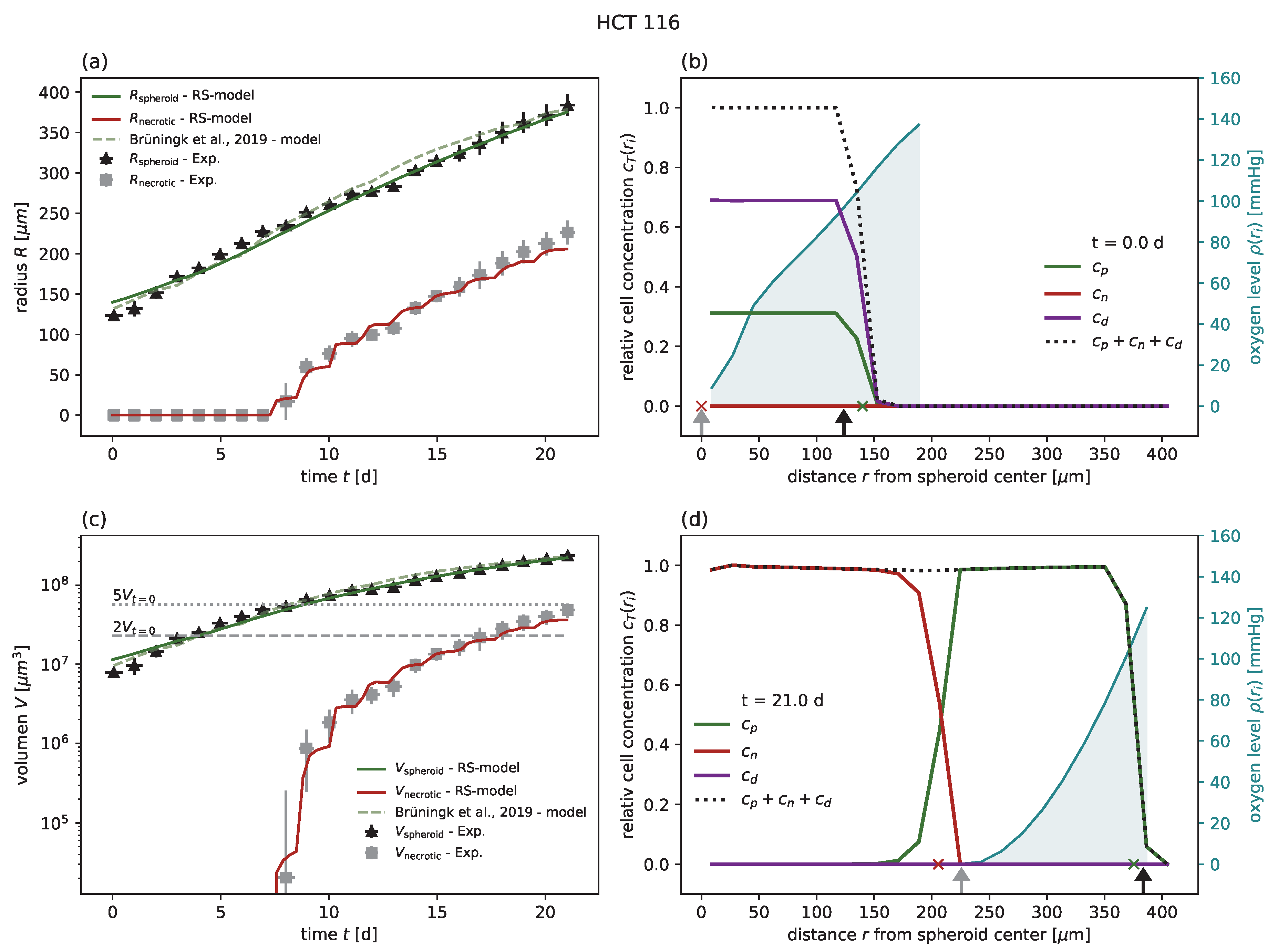 Cancers 15 05645 g005