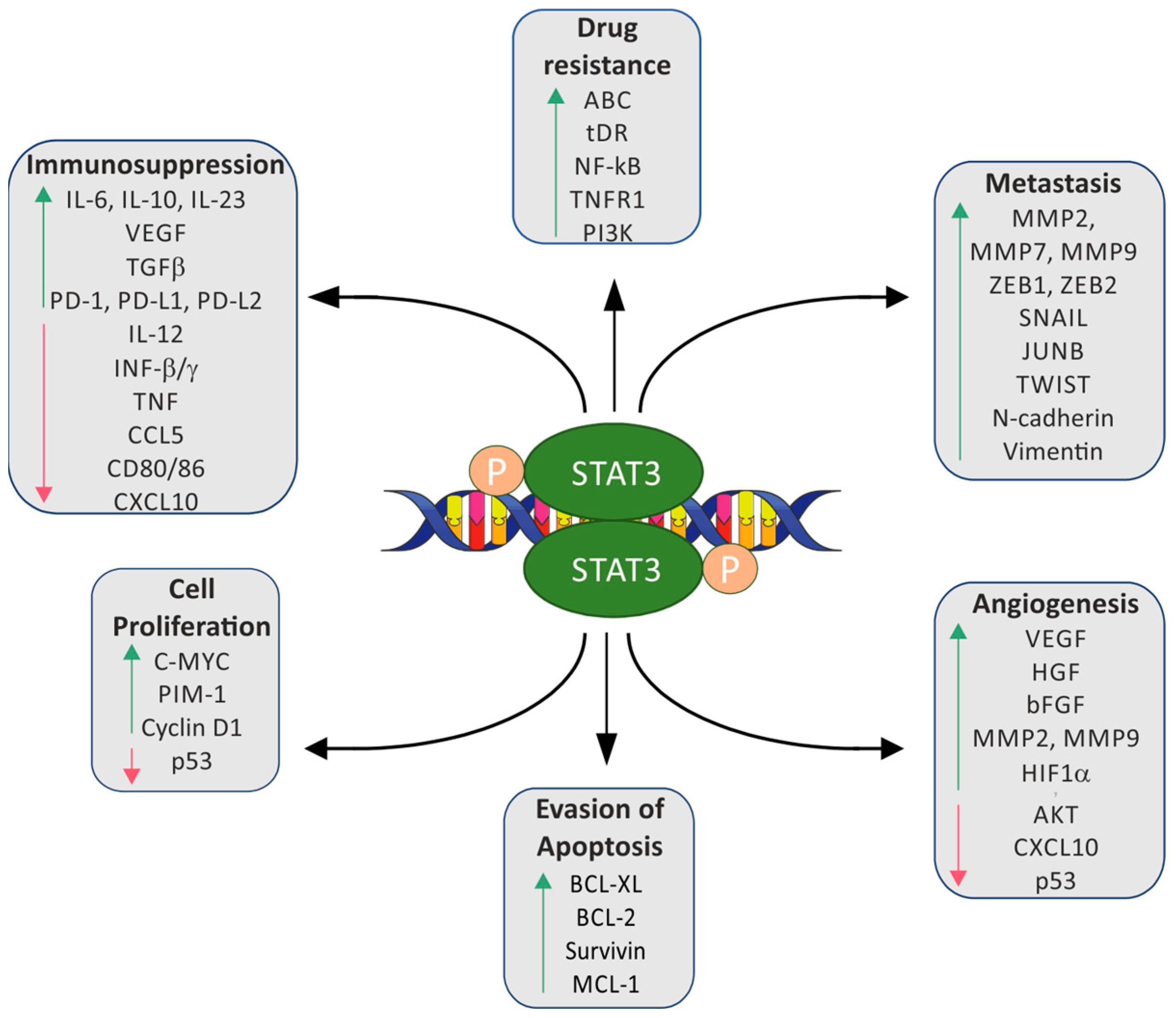 Cancers 15 05647 g002