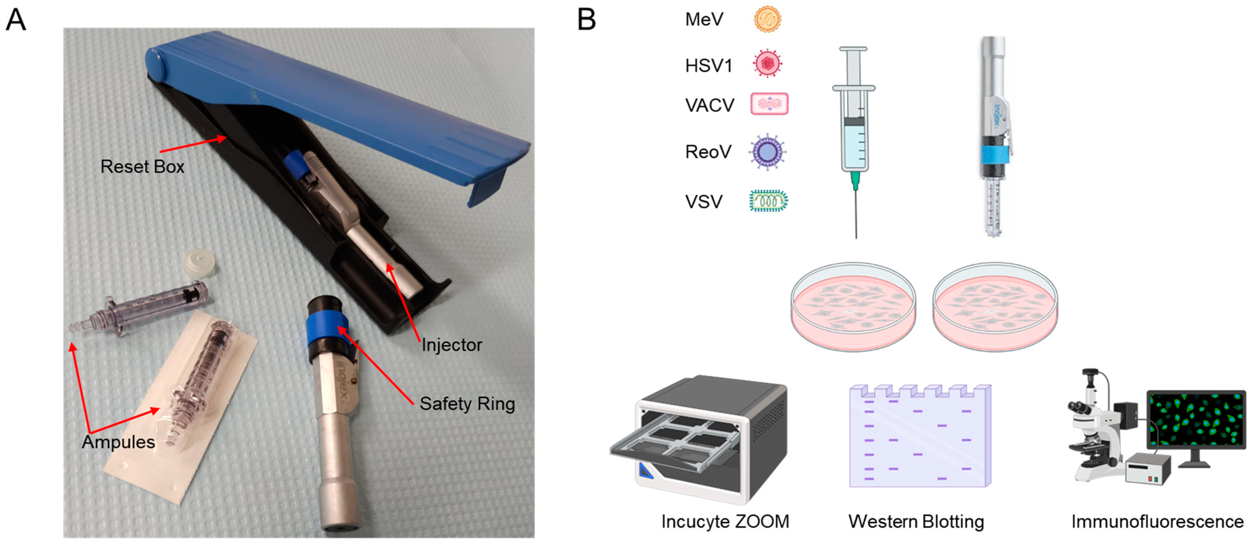 Cancers 15 05655 g001