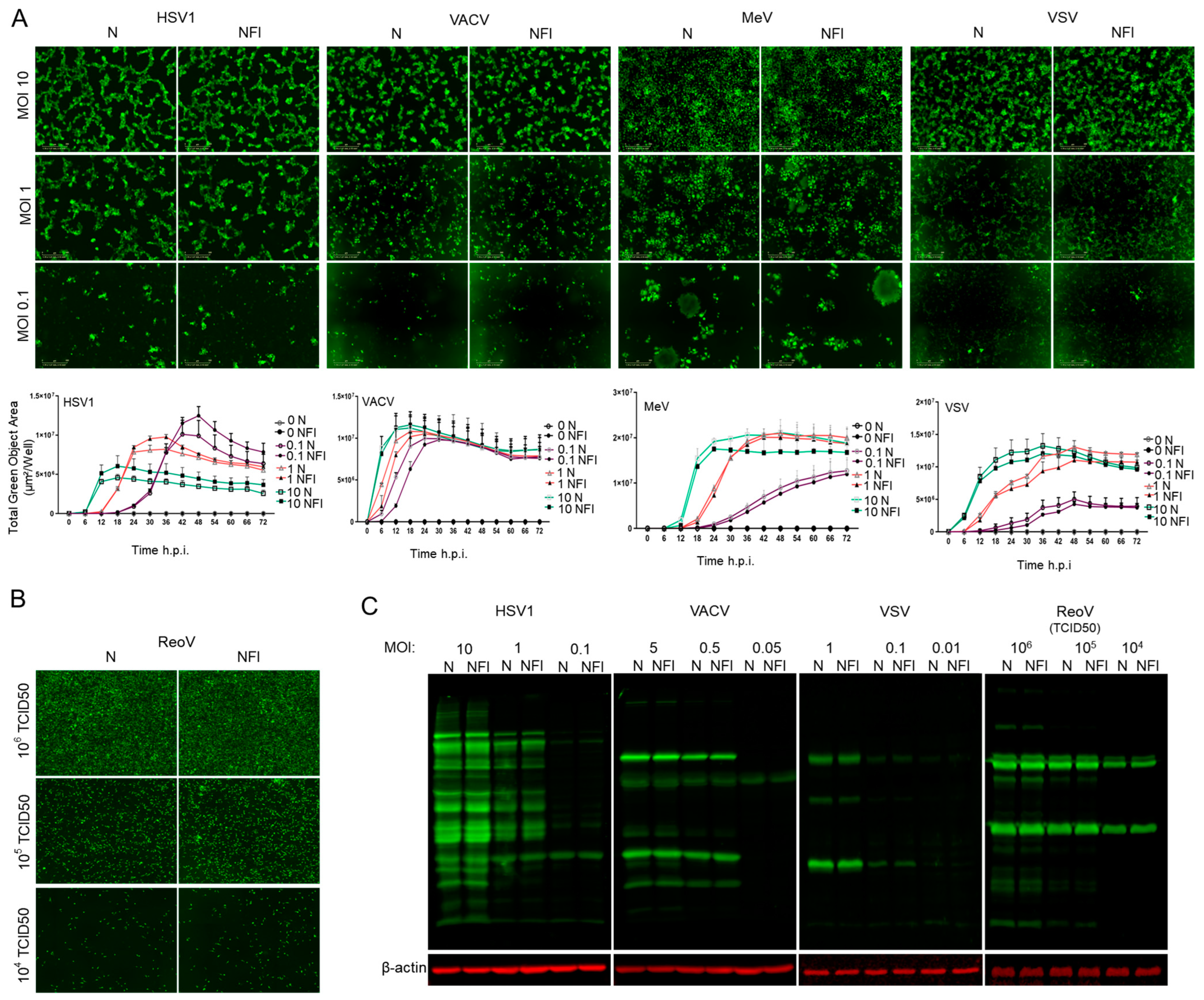 Cancers 15 05655 g002