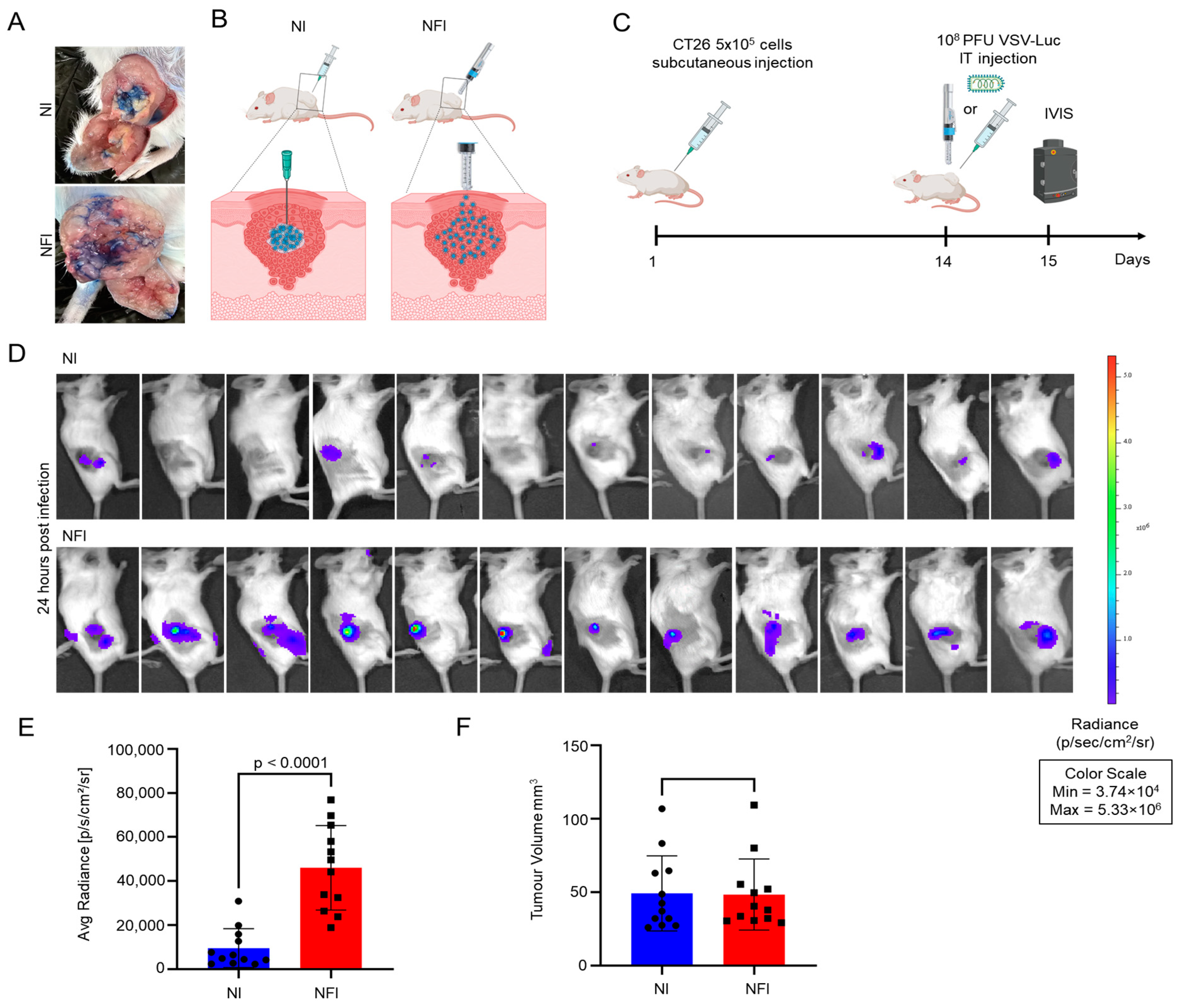 Cancers 15 05655 g003