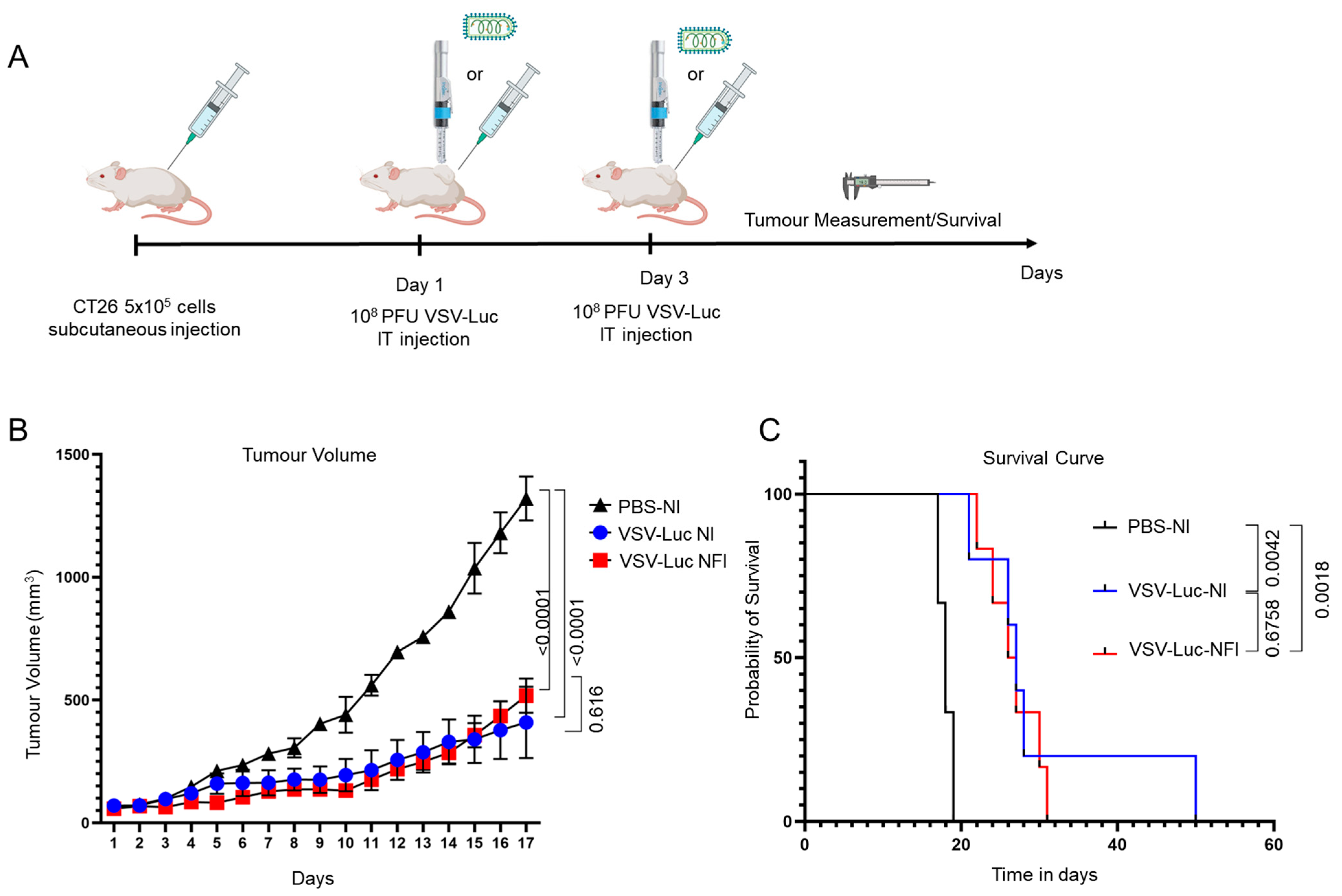 Cancers 15 05655 g004