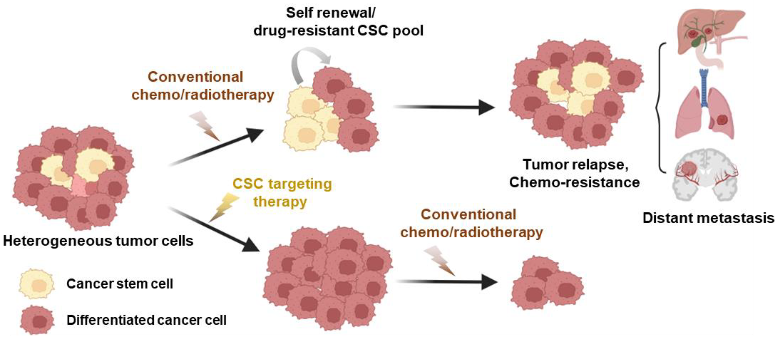 Cancers 15 05657 g002