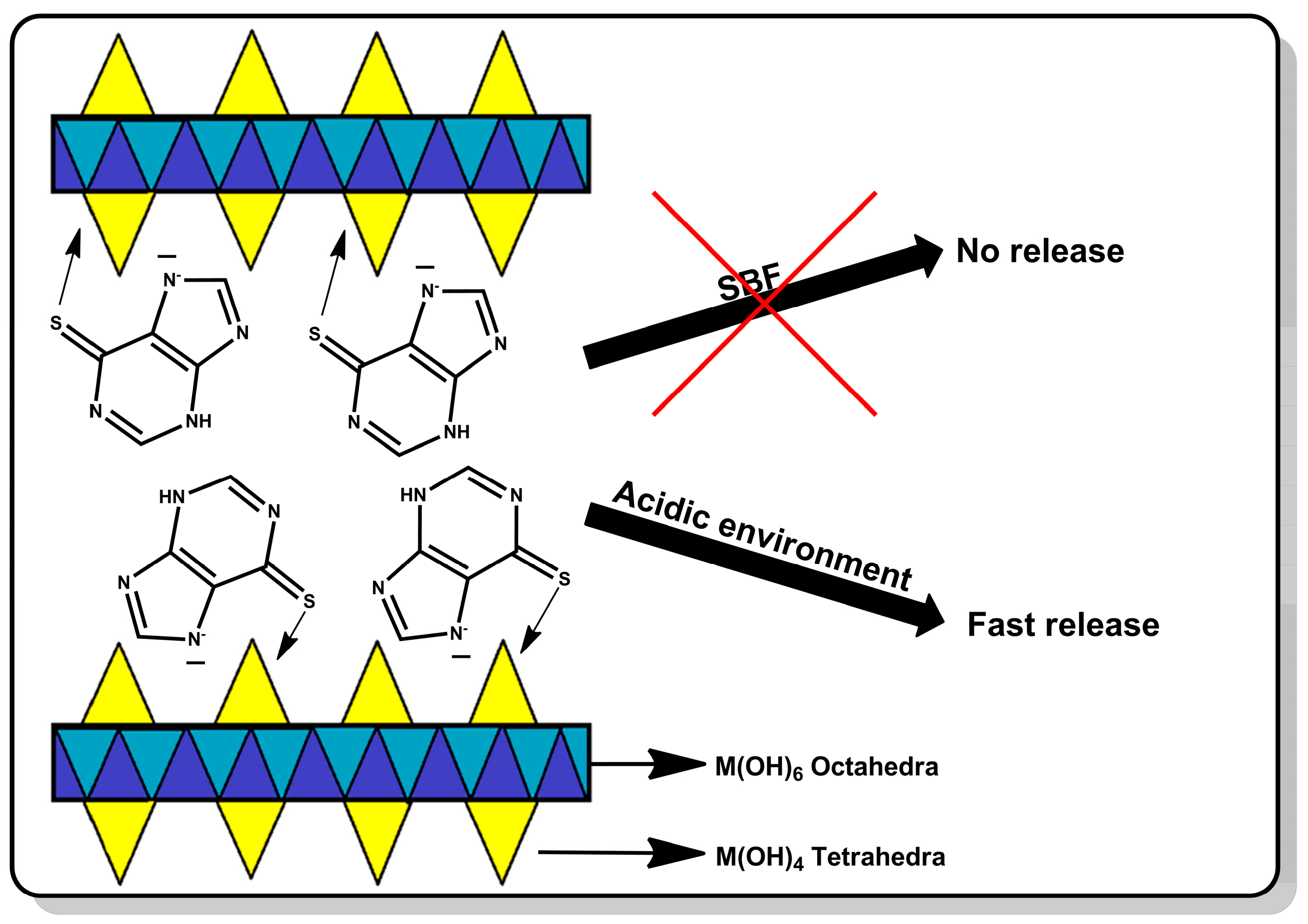 Cancers 15 05670 g001