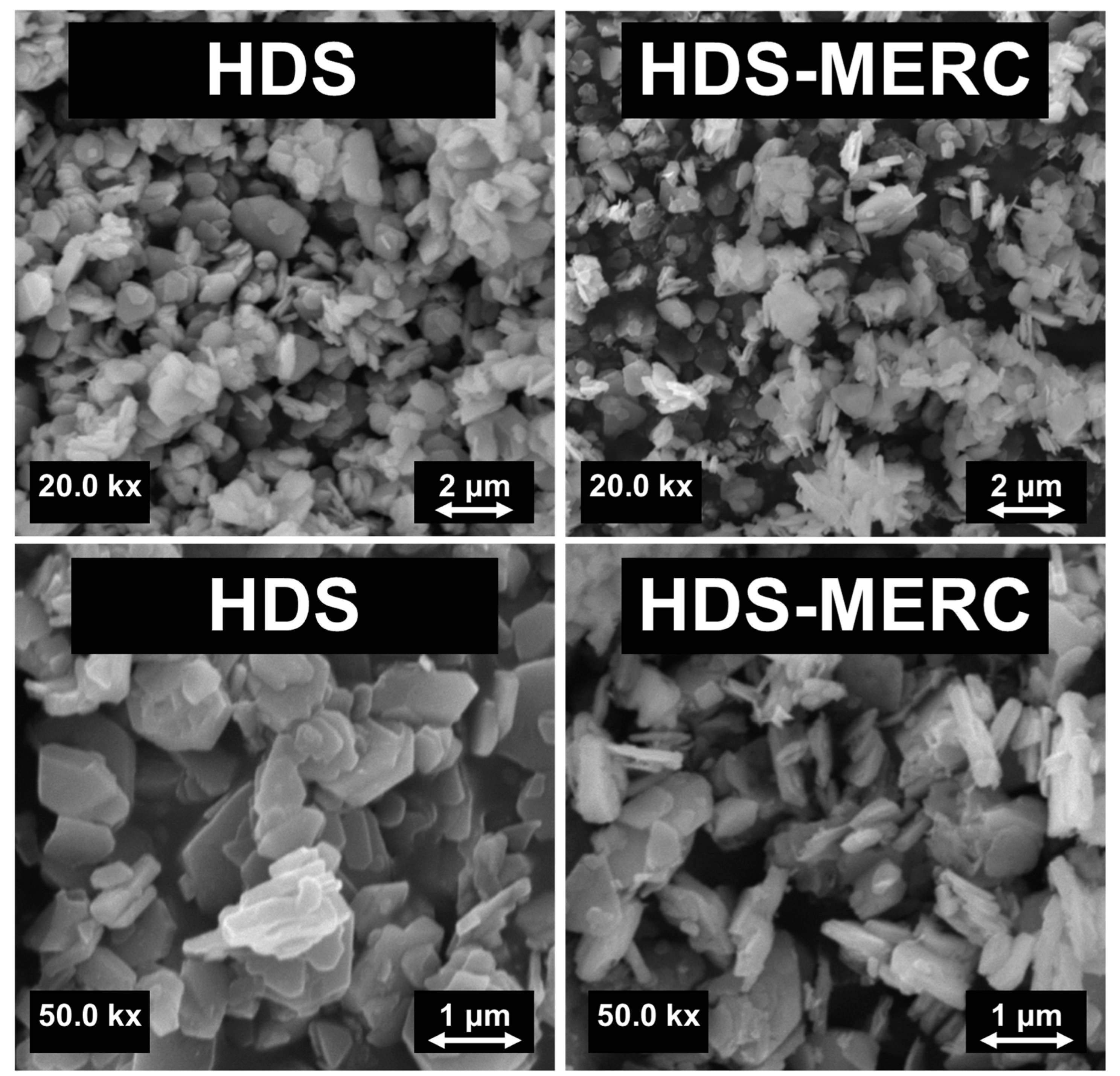 Cancers 15 05670 g004