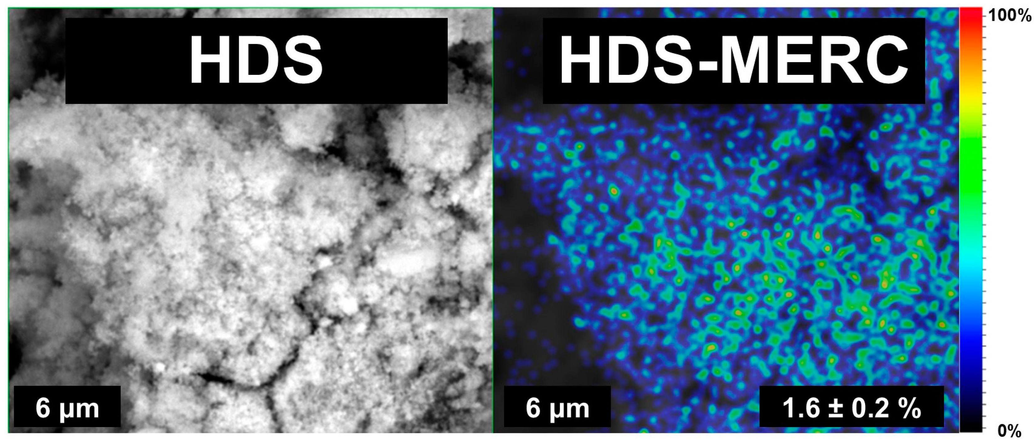 Cancers 15 05670 g005