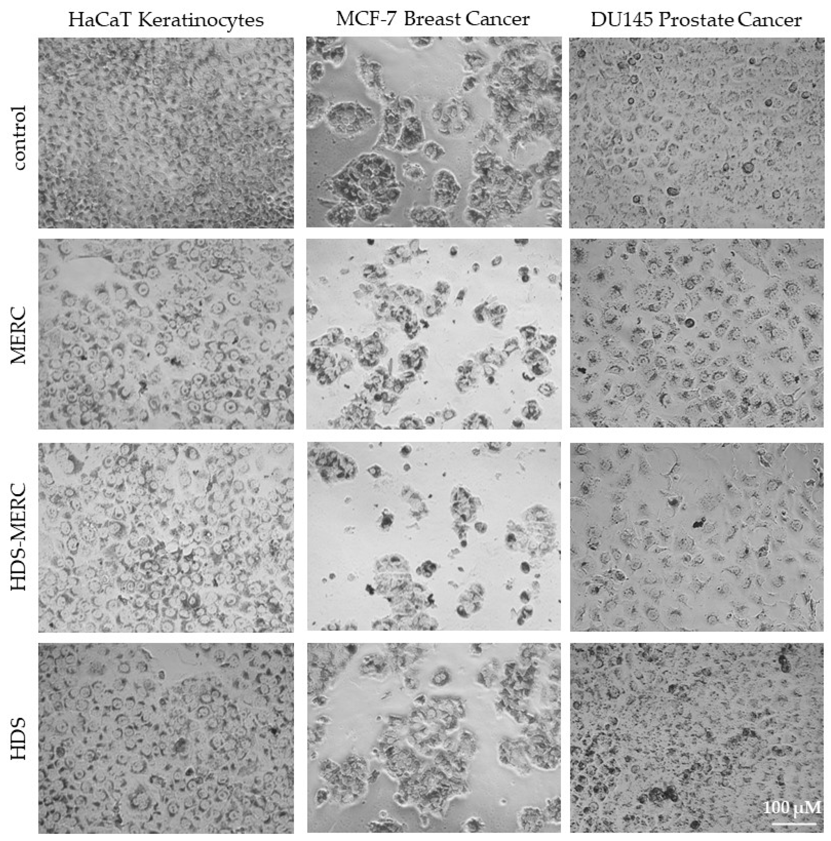 Cancers 15 05670 g009