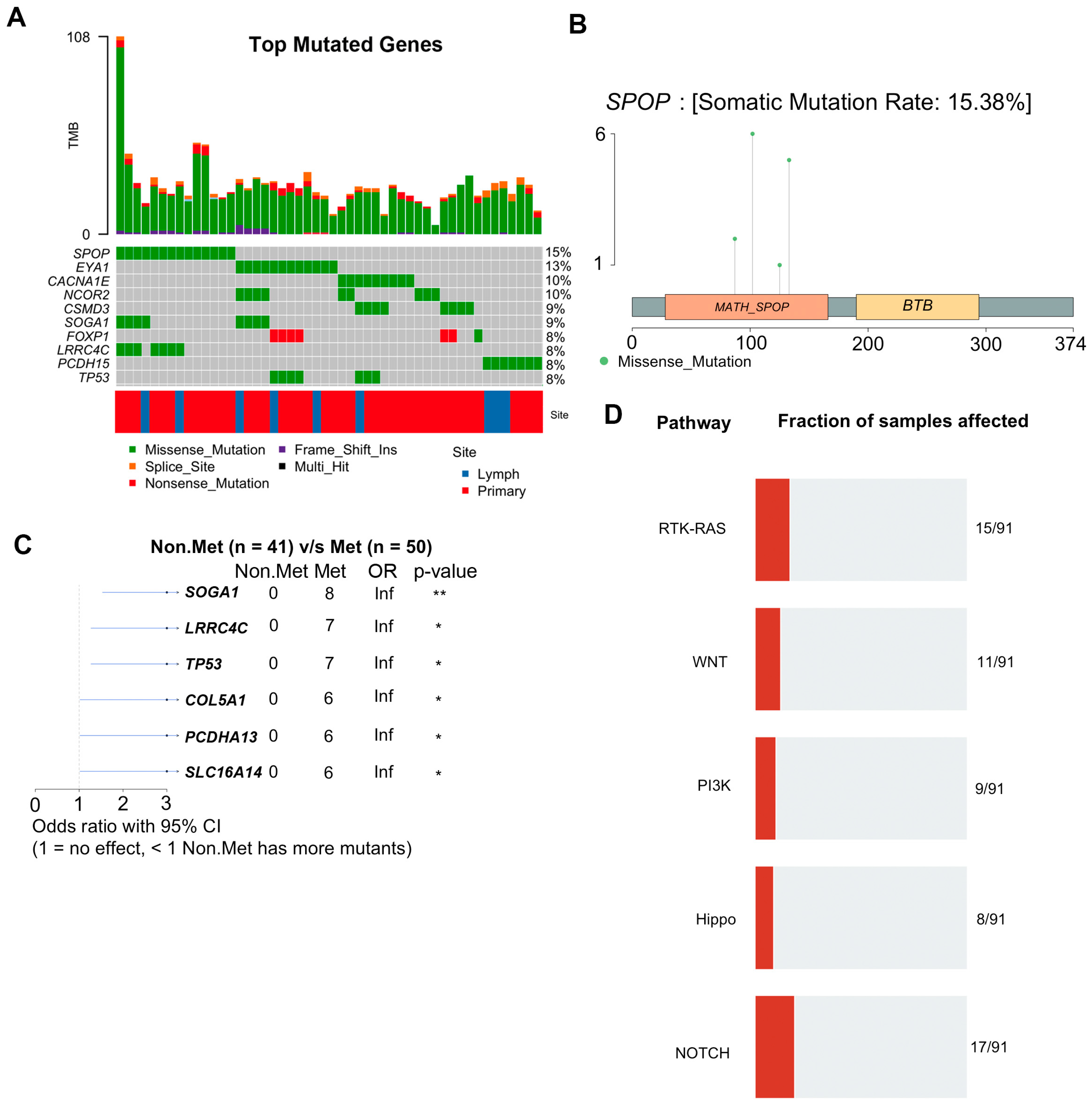 Cancers 15 05671 g002