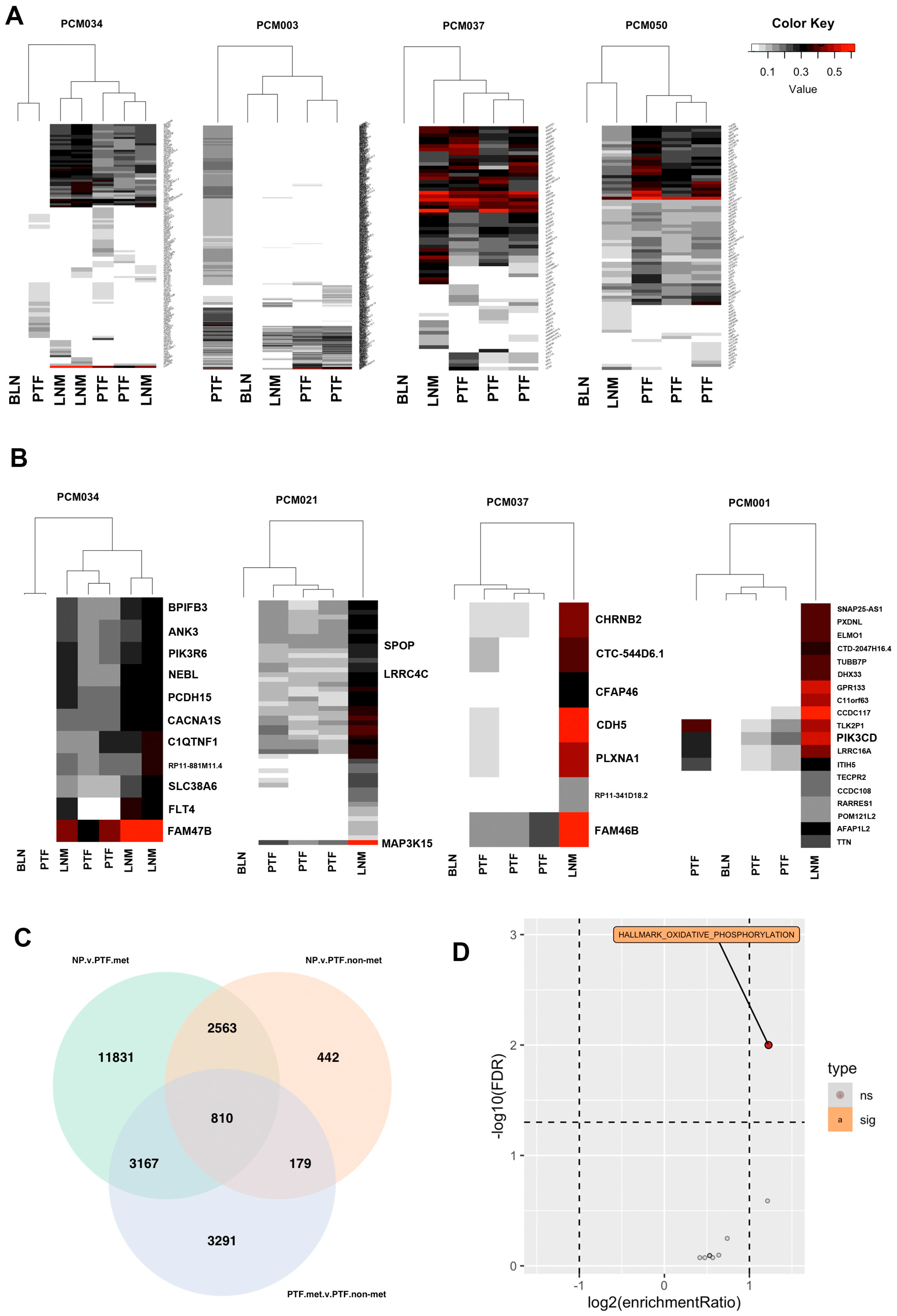 Cancers 15 05671 g003