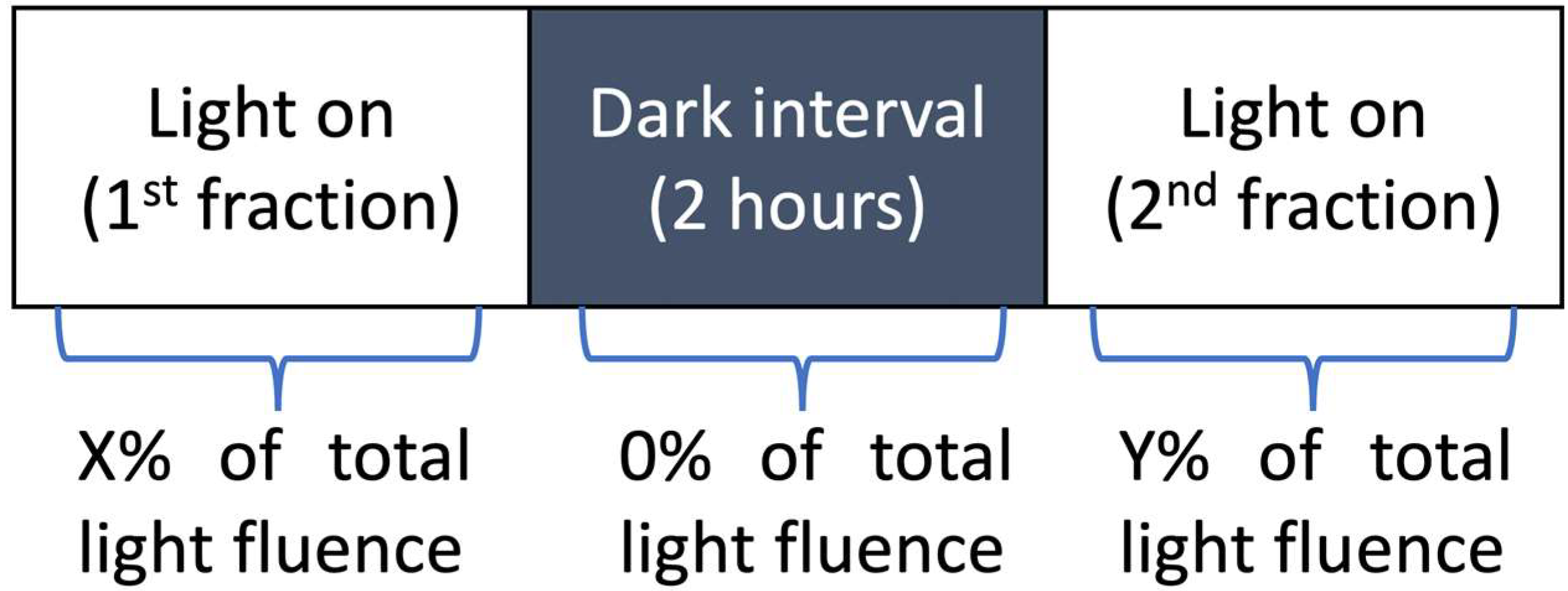 Cancers 15 05682 g001