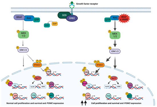 Cancers 15 05685 g001