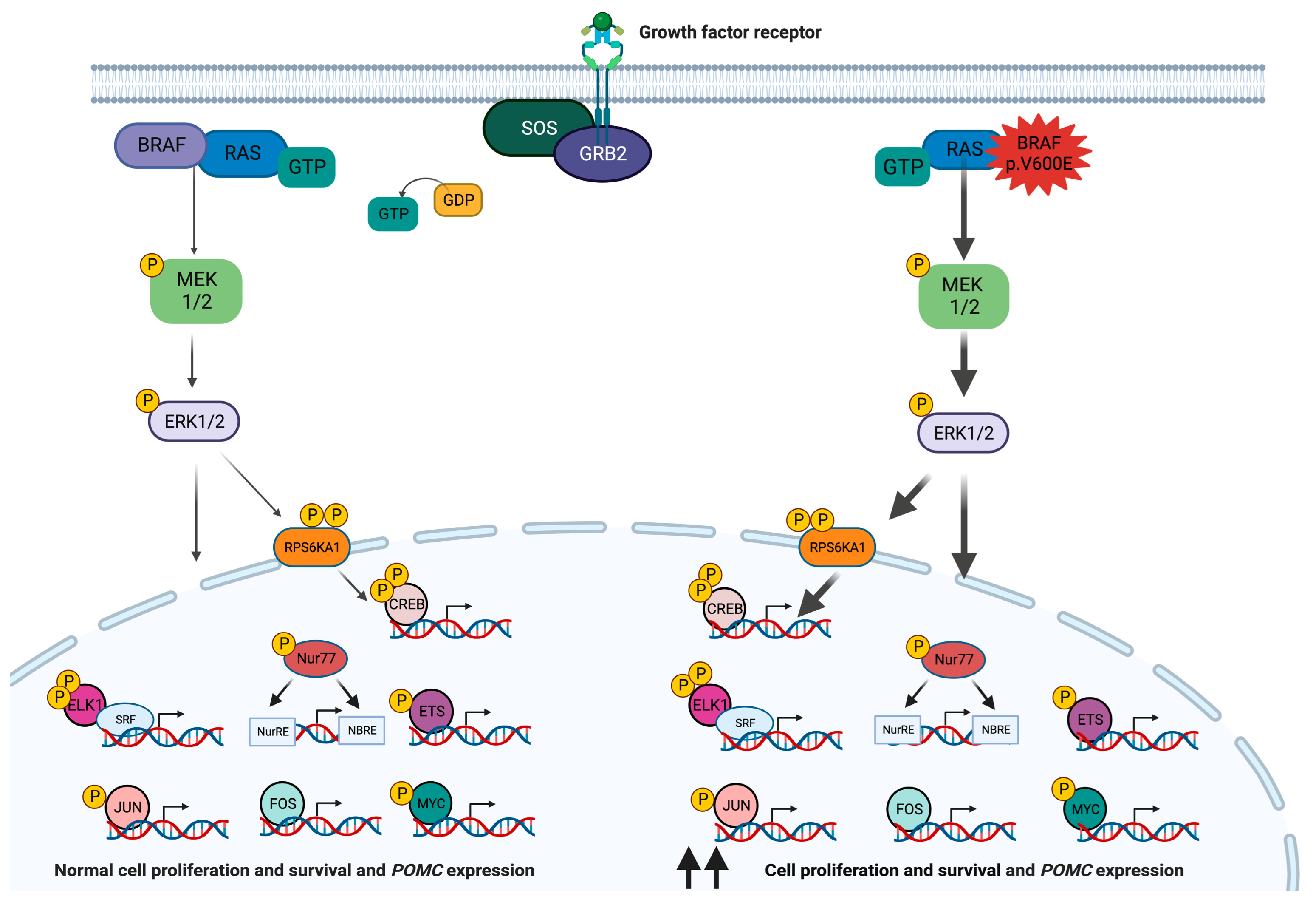 Cancers 15 05685 g001