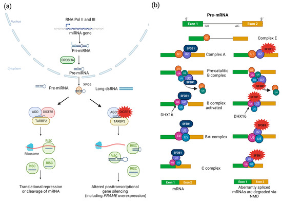 Cancers 15 05685 g003