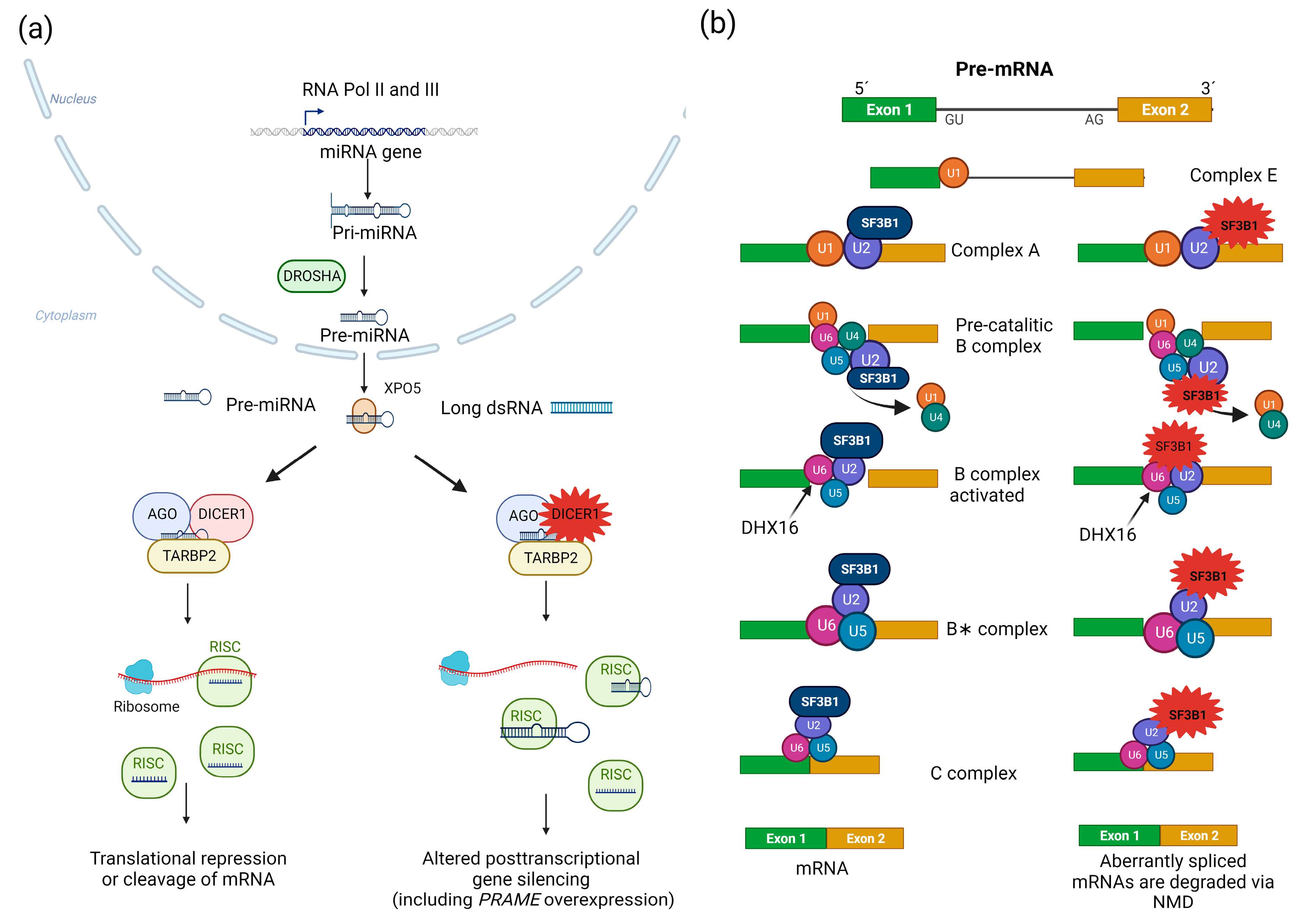 Cancers 15 05685 g003