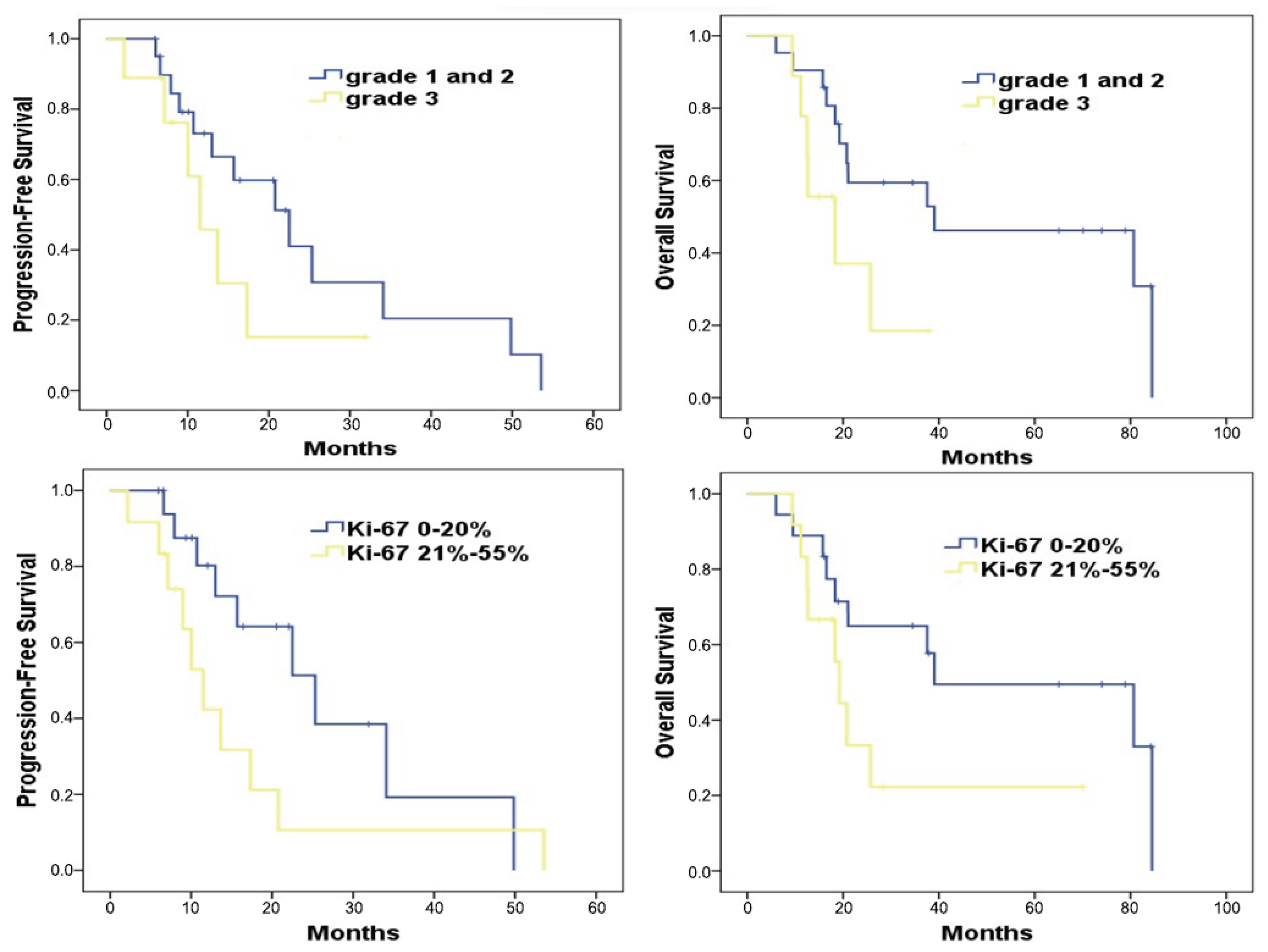 Cancers 15 05688 g004