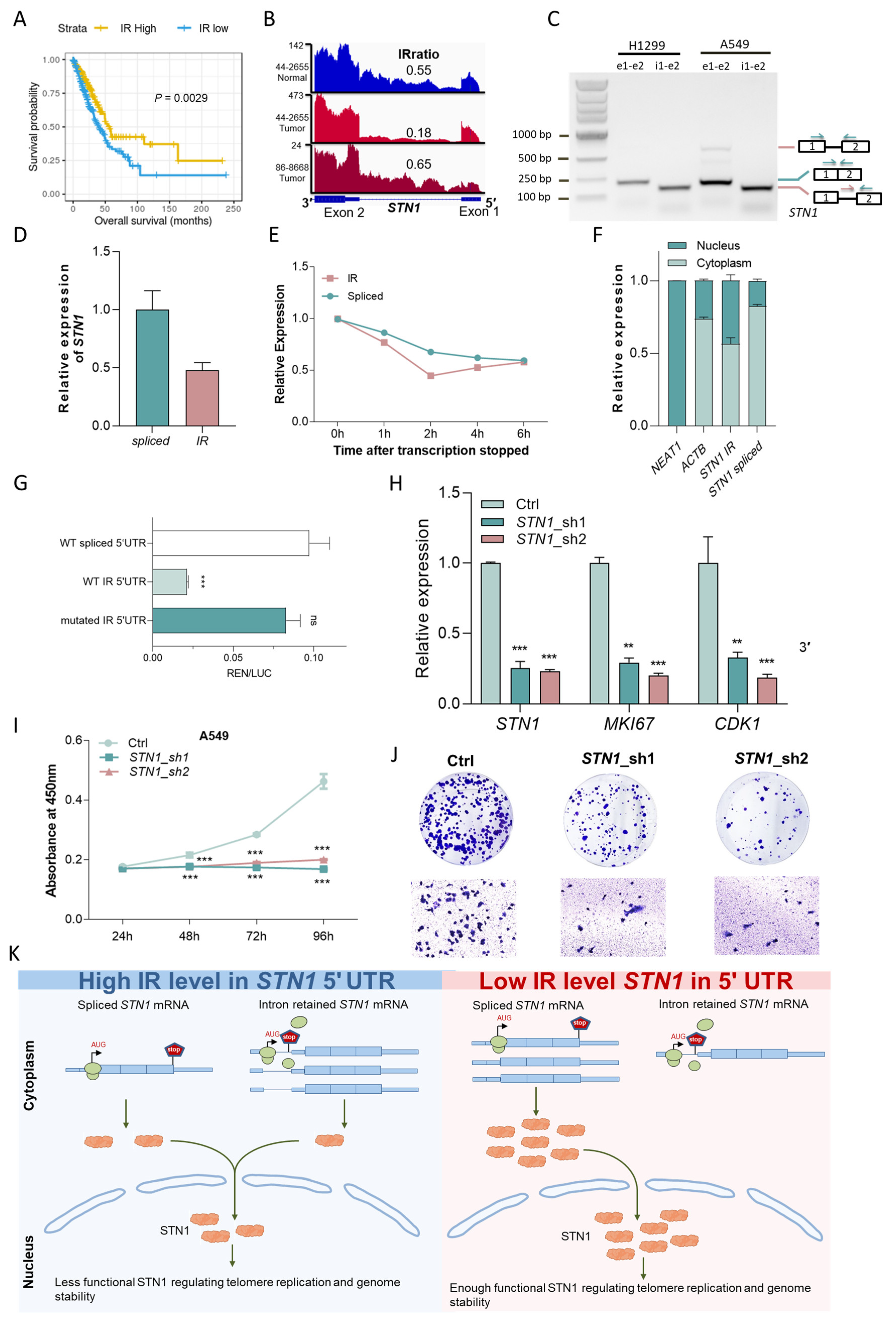 Cancers 15 05689 g006