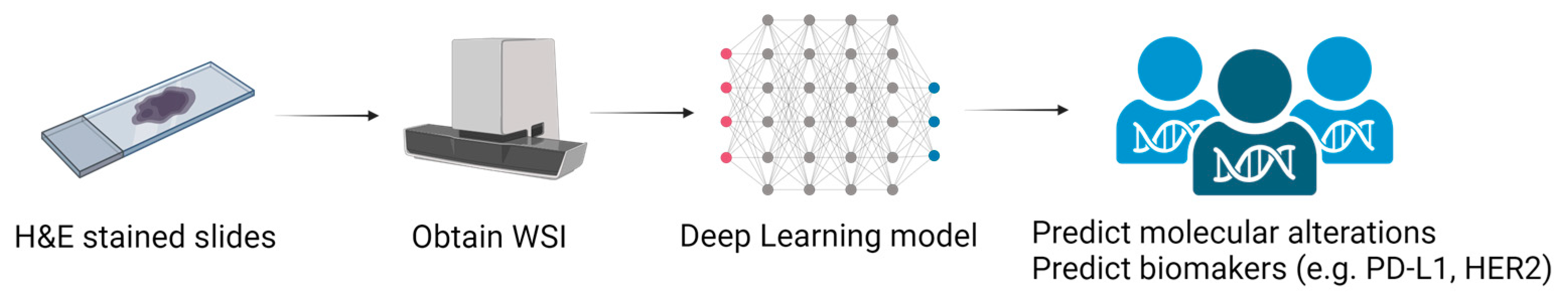 Cancers 15 05692 g001