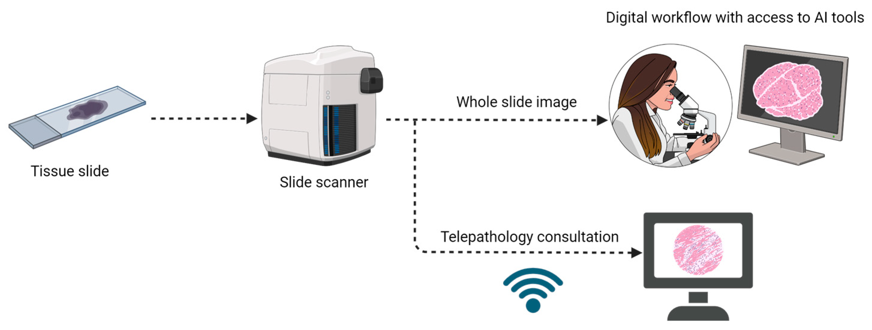 Cancers 15 05692 g003