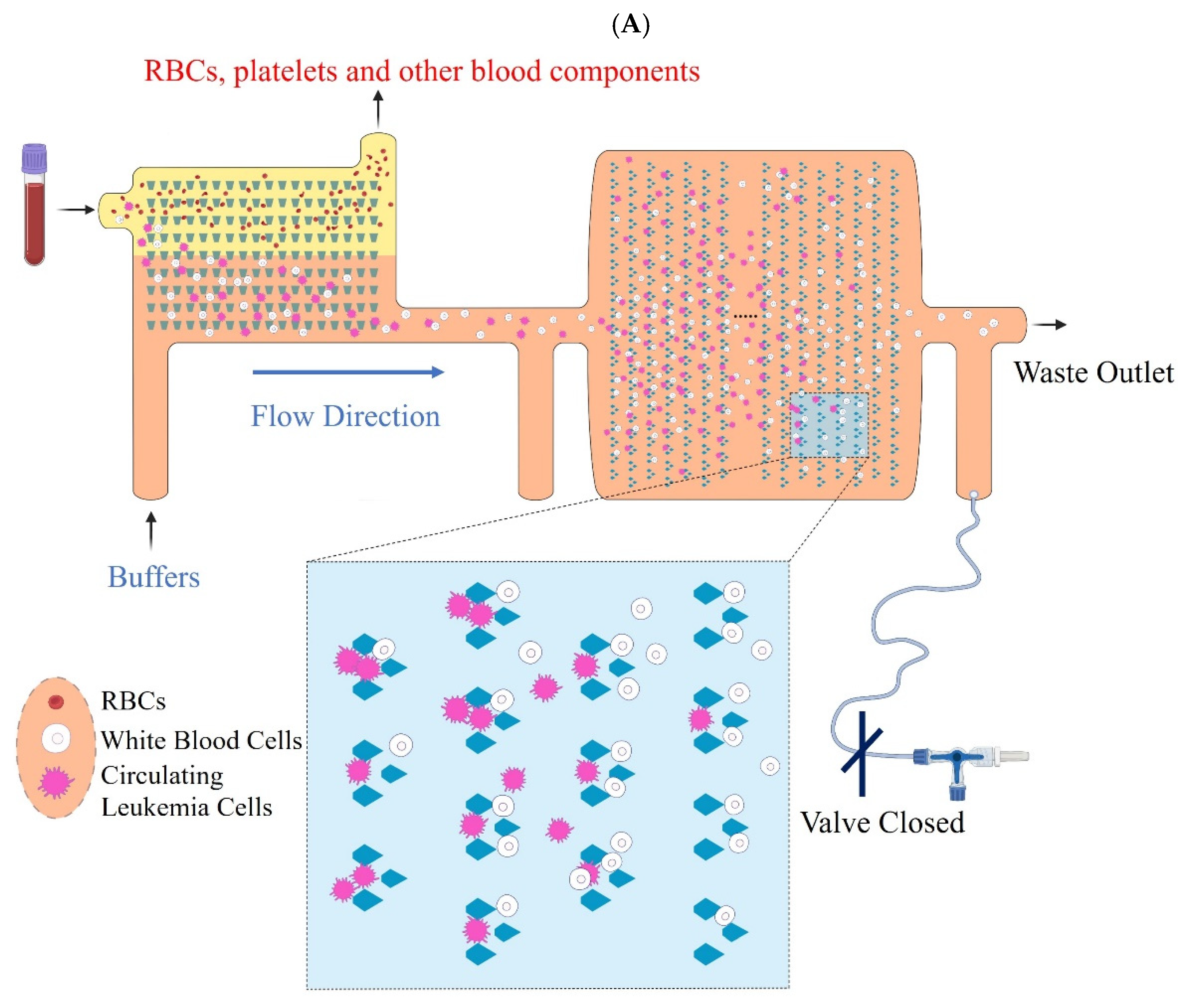 Cancers 15 05696 g001a