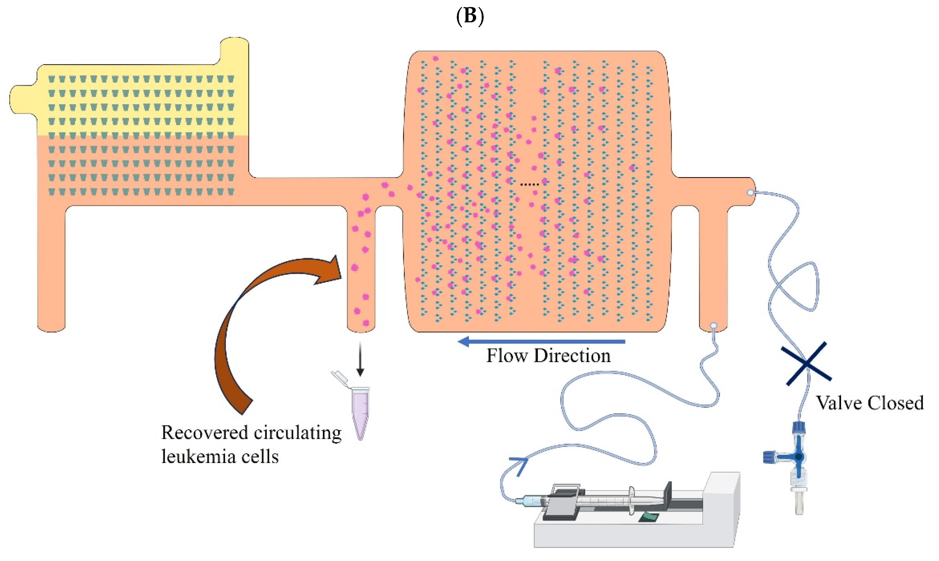 Cancers 15 05696 g001b