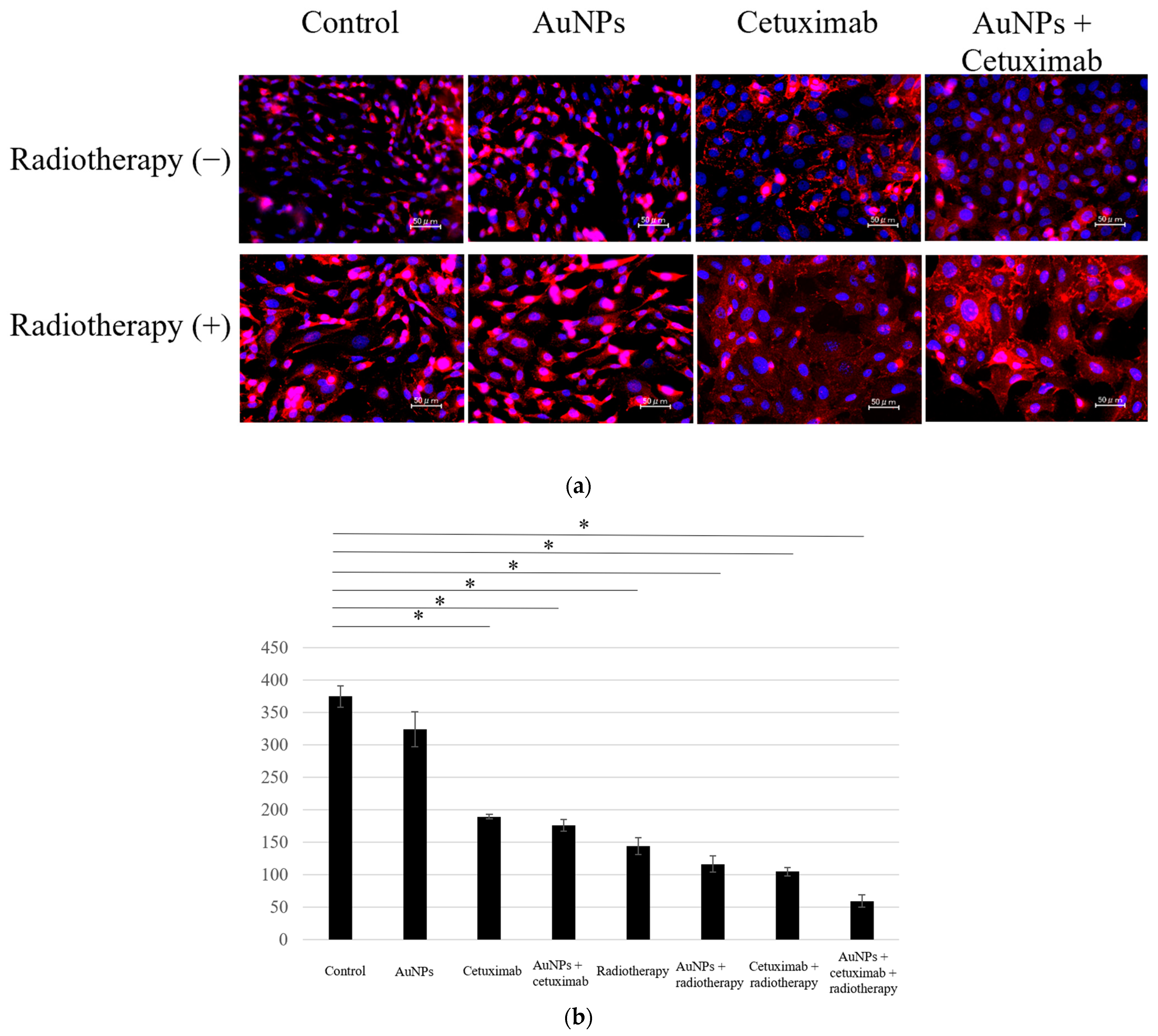 Cancers 15 05697 g001