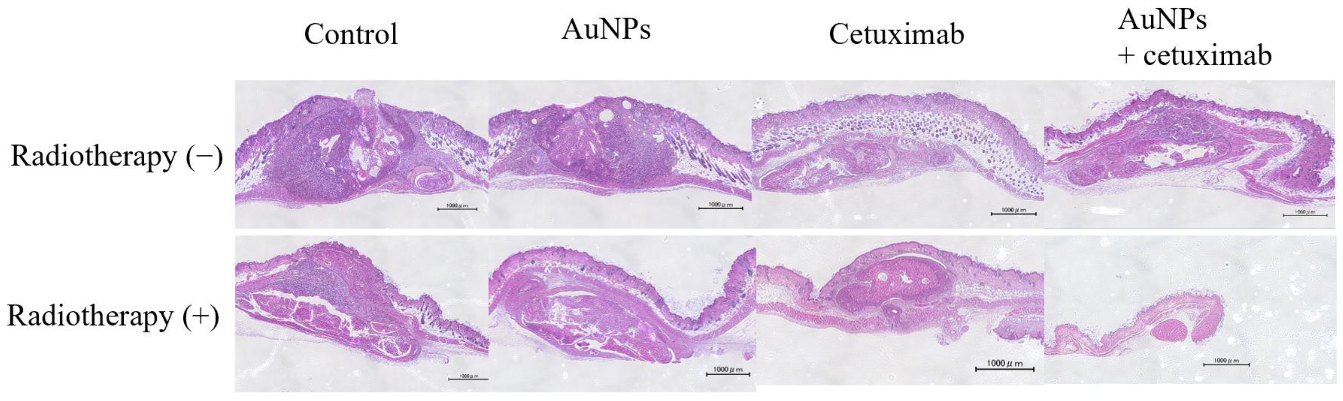 Cancers 15 05697 g005