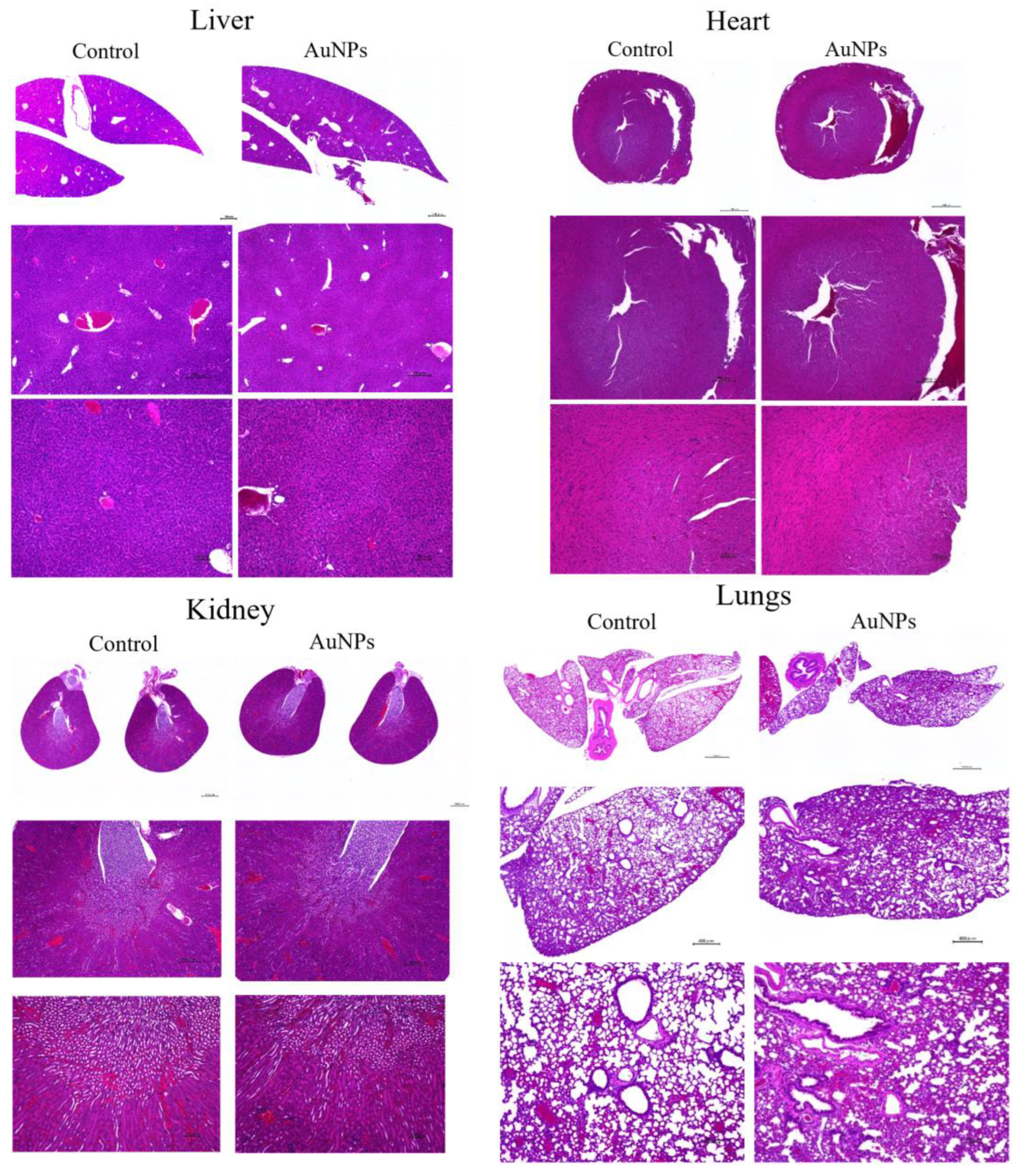 Cancers 15 05697 g007