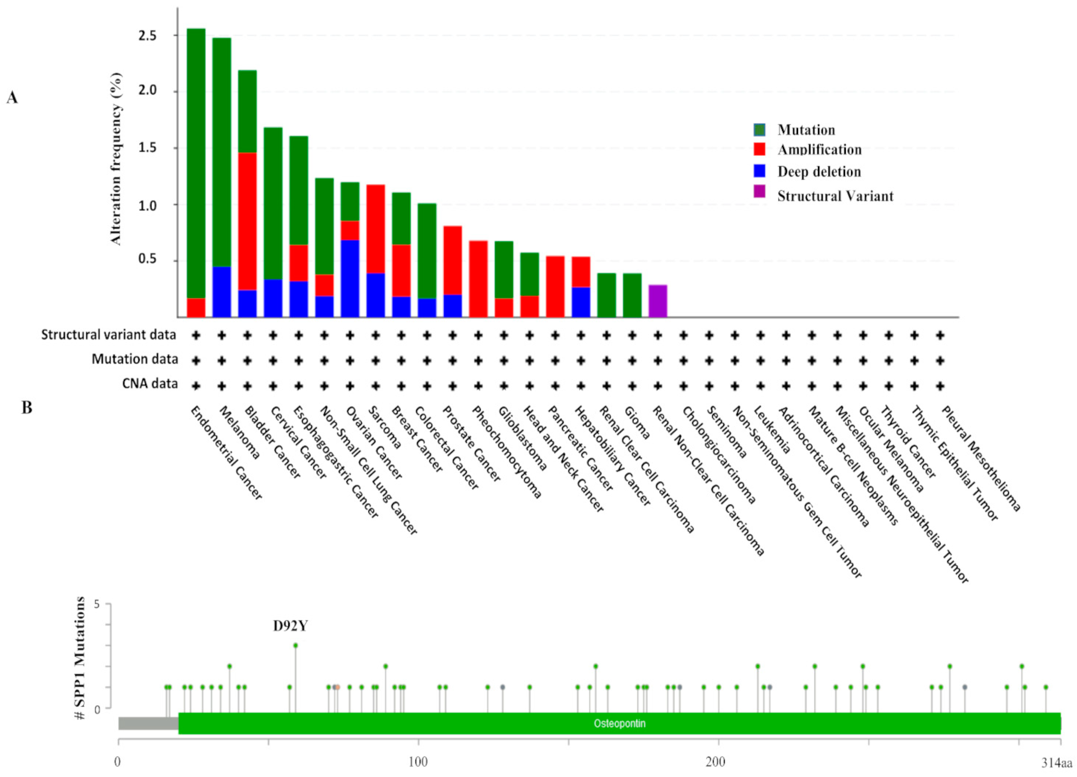 Cancers 15 05704 g002 Cancers 15 05704 g002