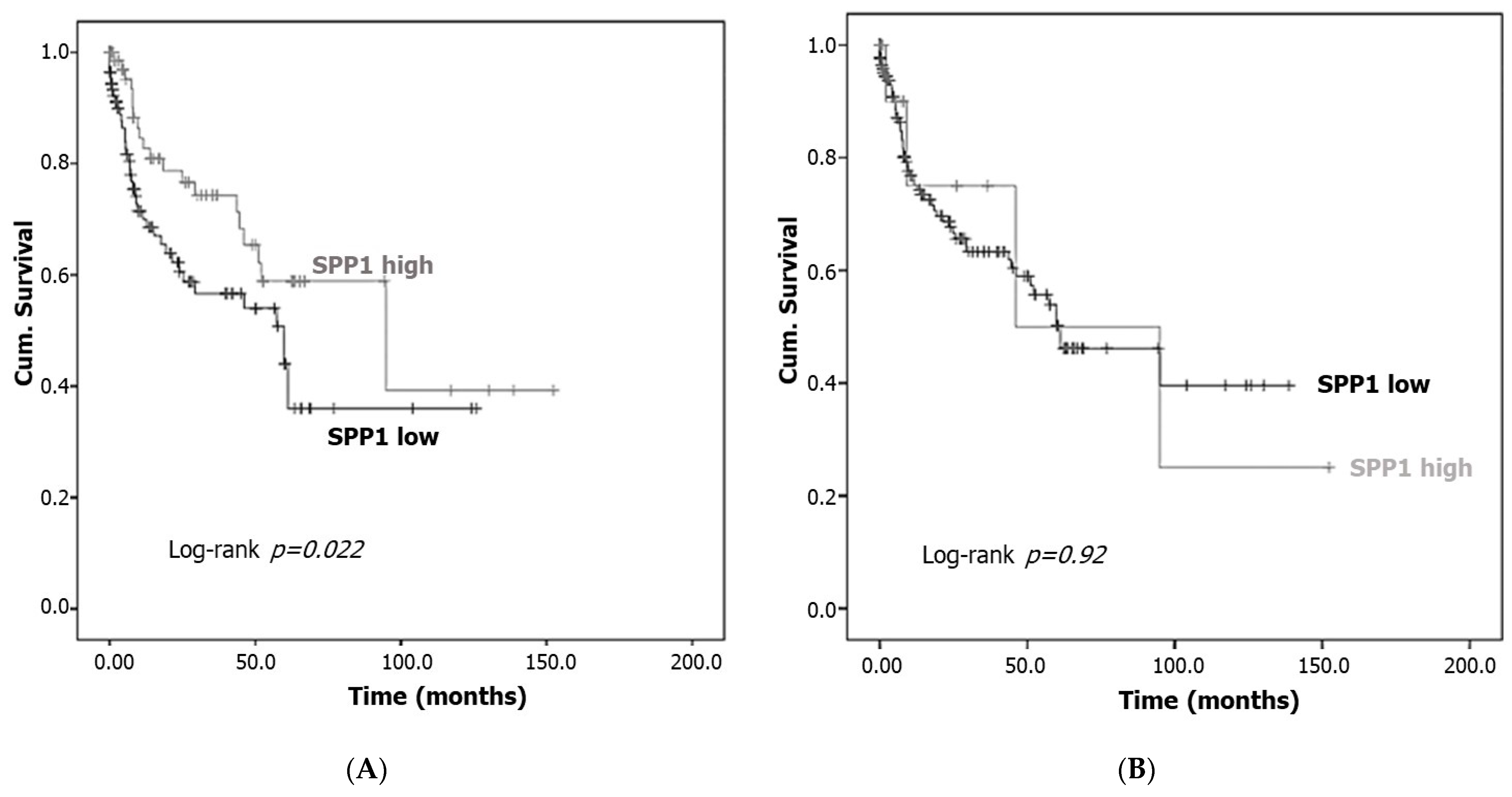 Cancers 15 05704 g005 Cancers 15 05704 g005
