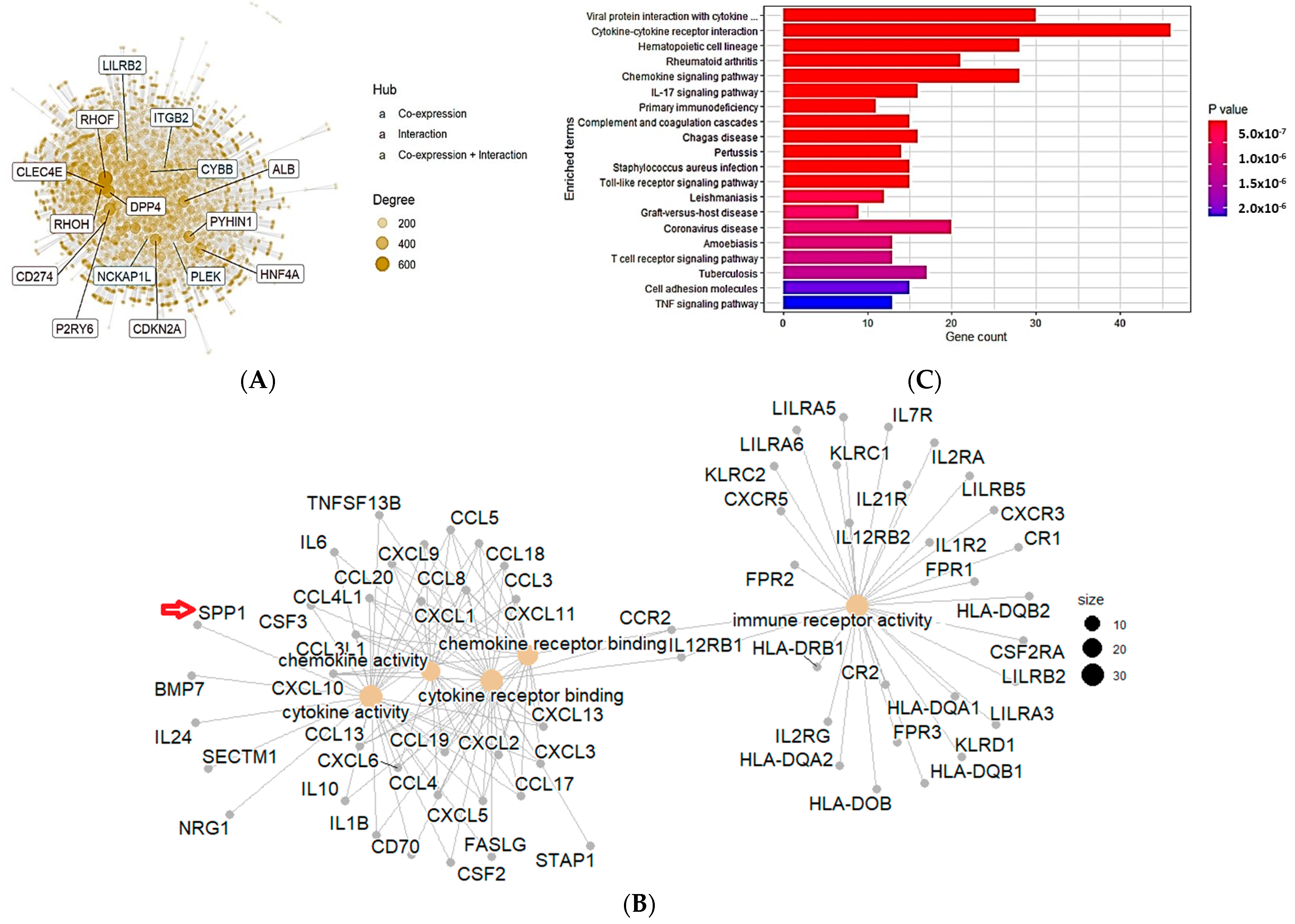 Cancers 15 05704 g006 Cancers 15 05704 g006