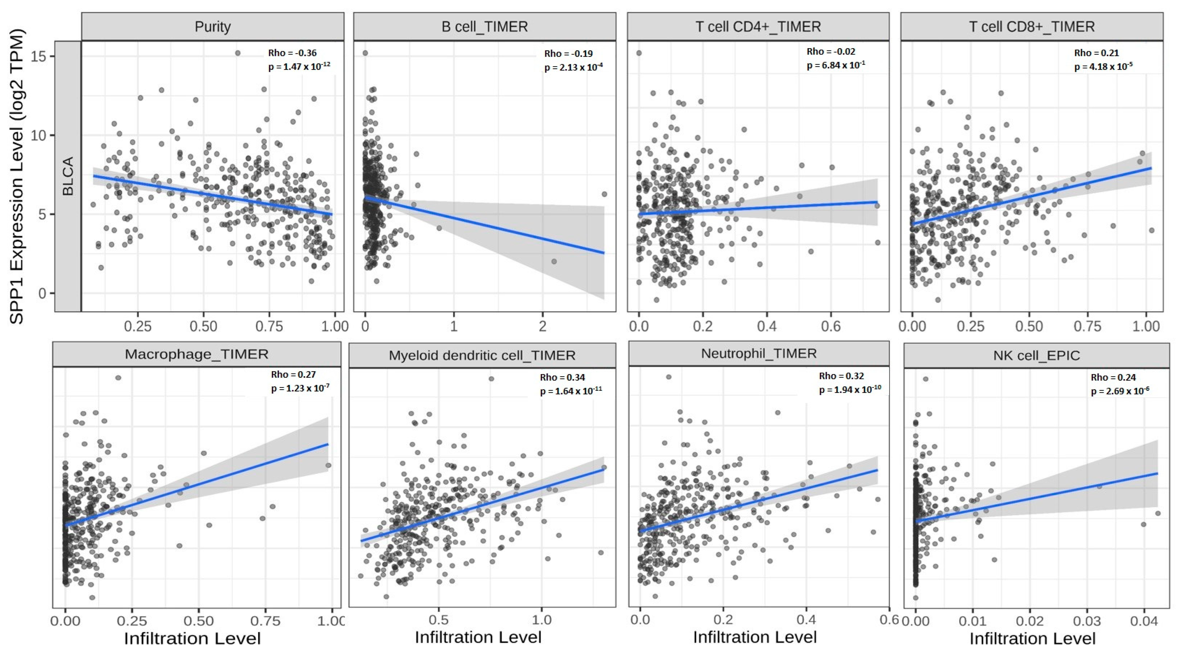 Cancers 15 05704 g007 Cancers 15 05704 g007