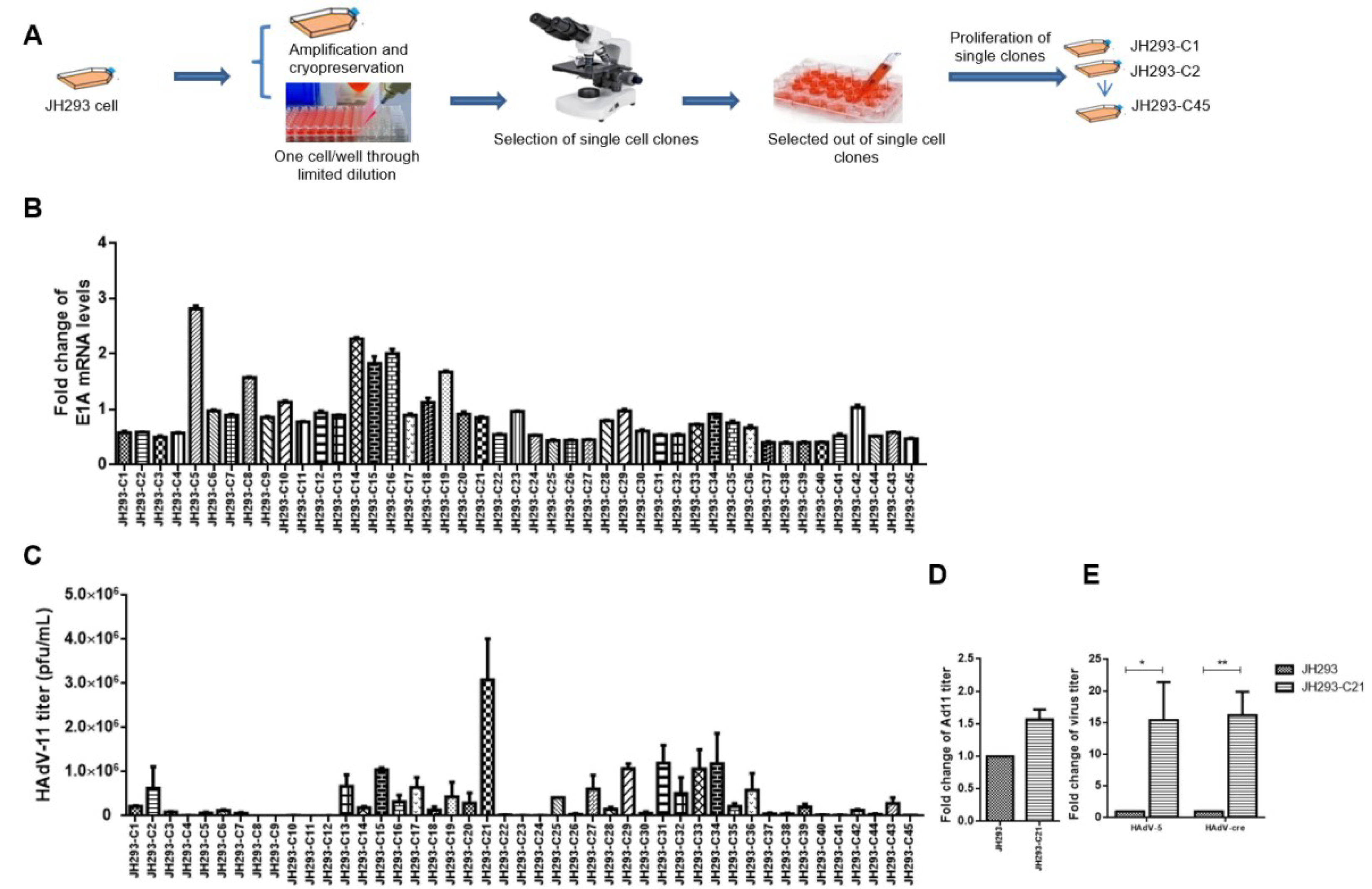 Cancers 15 05713 g002