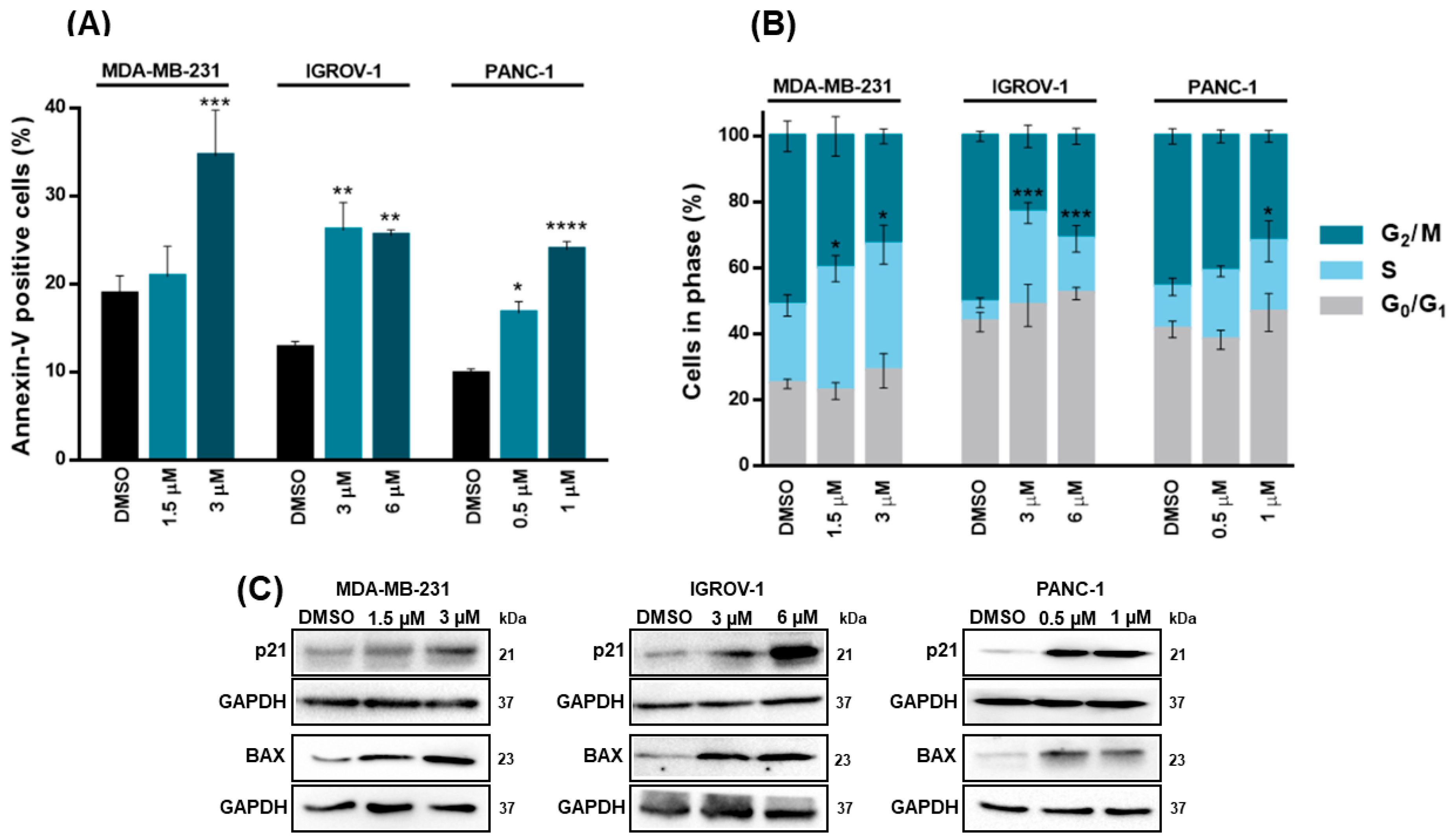 Cancers 15 05718 g004